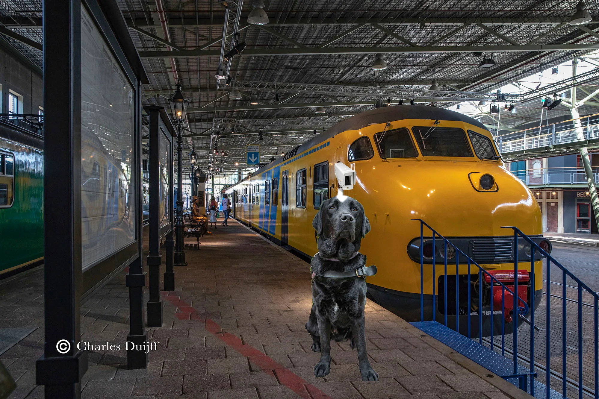 huidig type trein