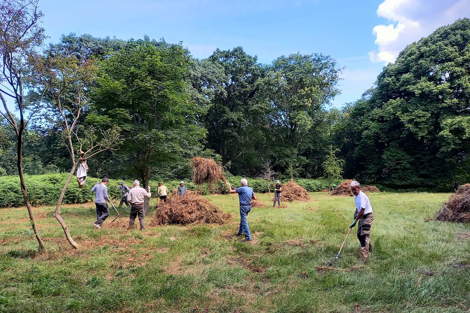 leyduin hooien3 kopieren