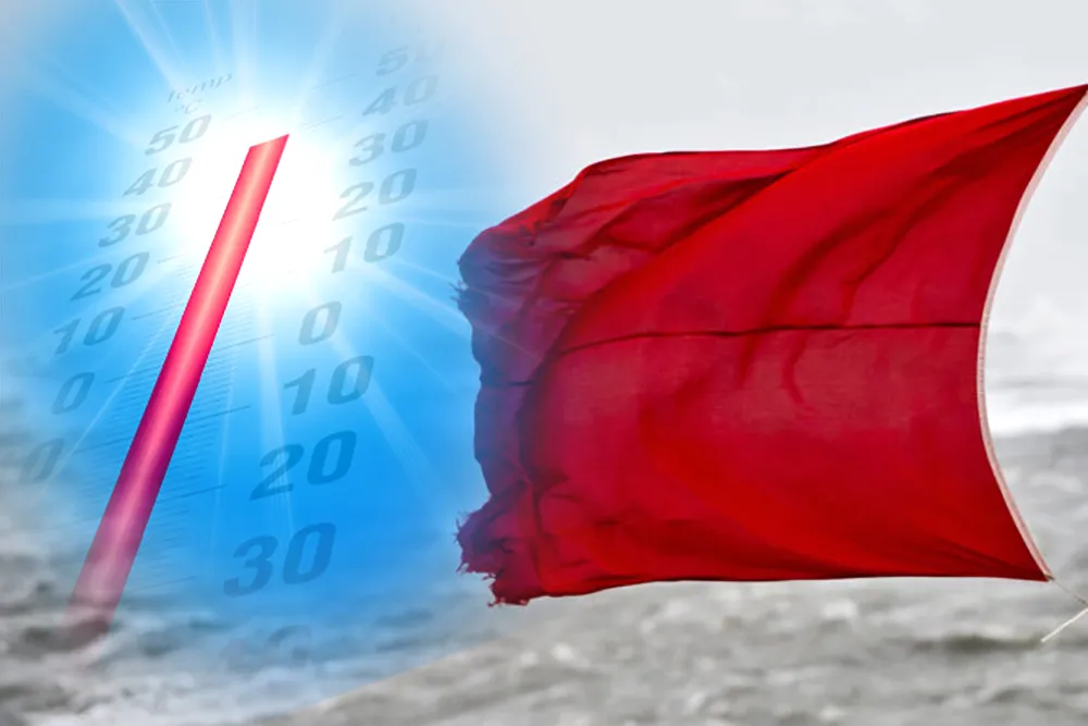 pixabay dennis gouda