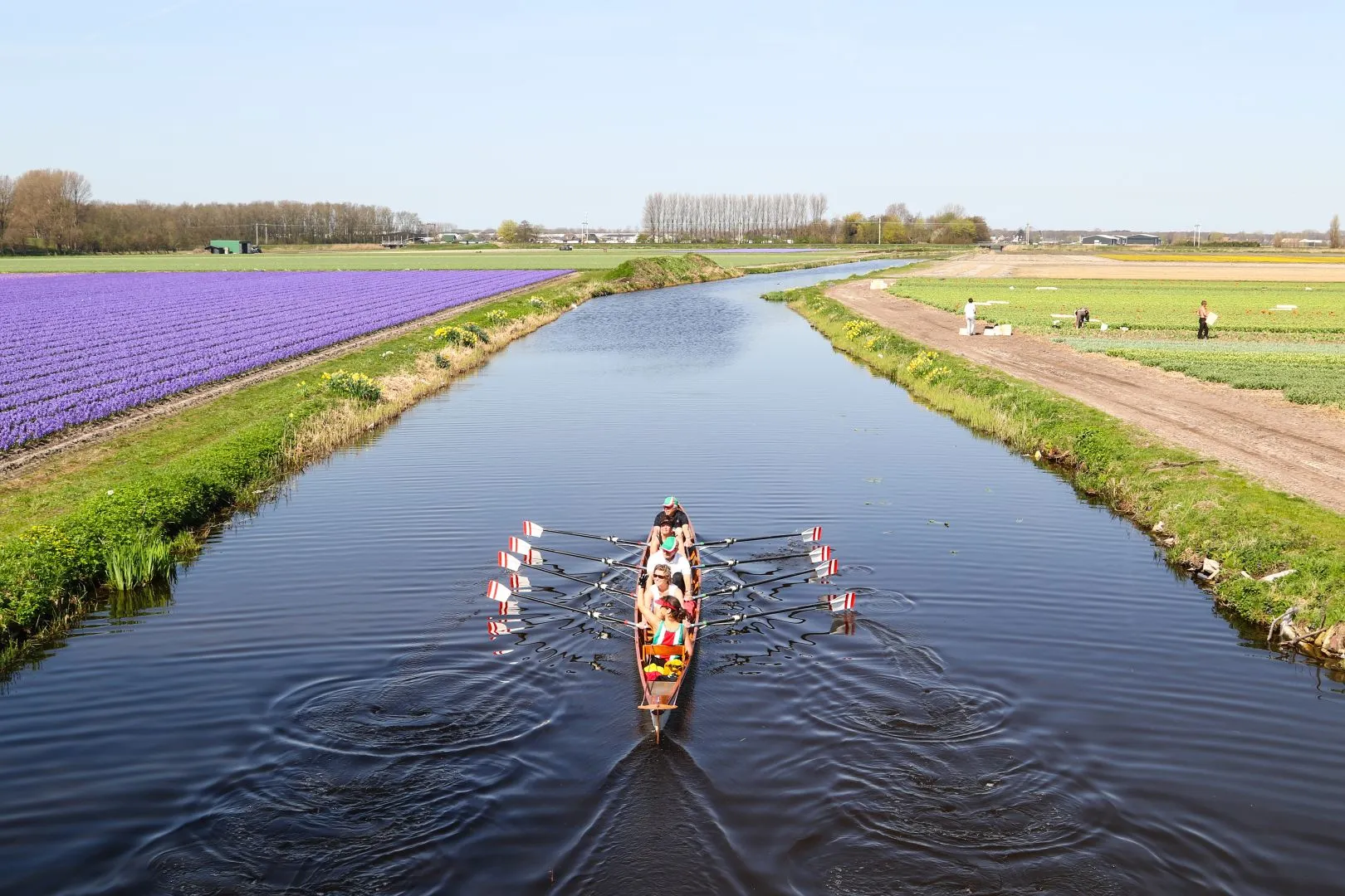 roeien