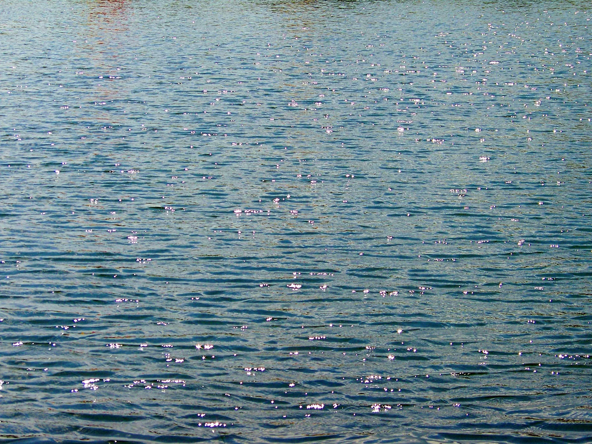 vijverwater pixabay public domain pictures