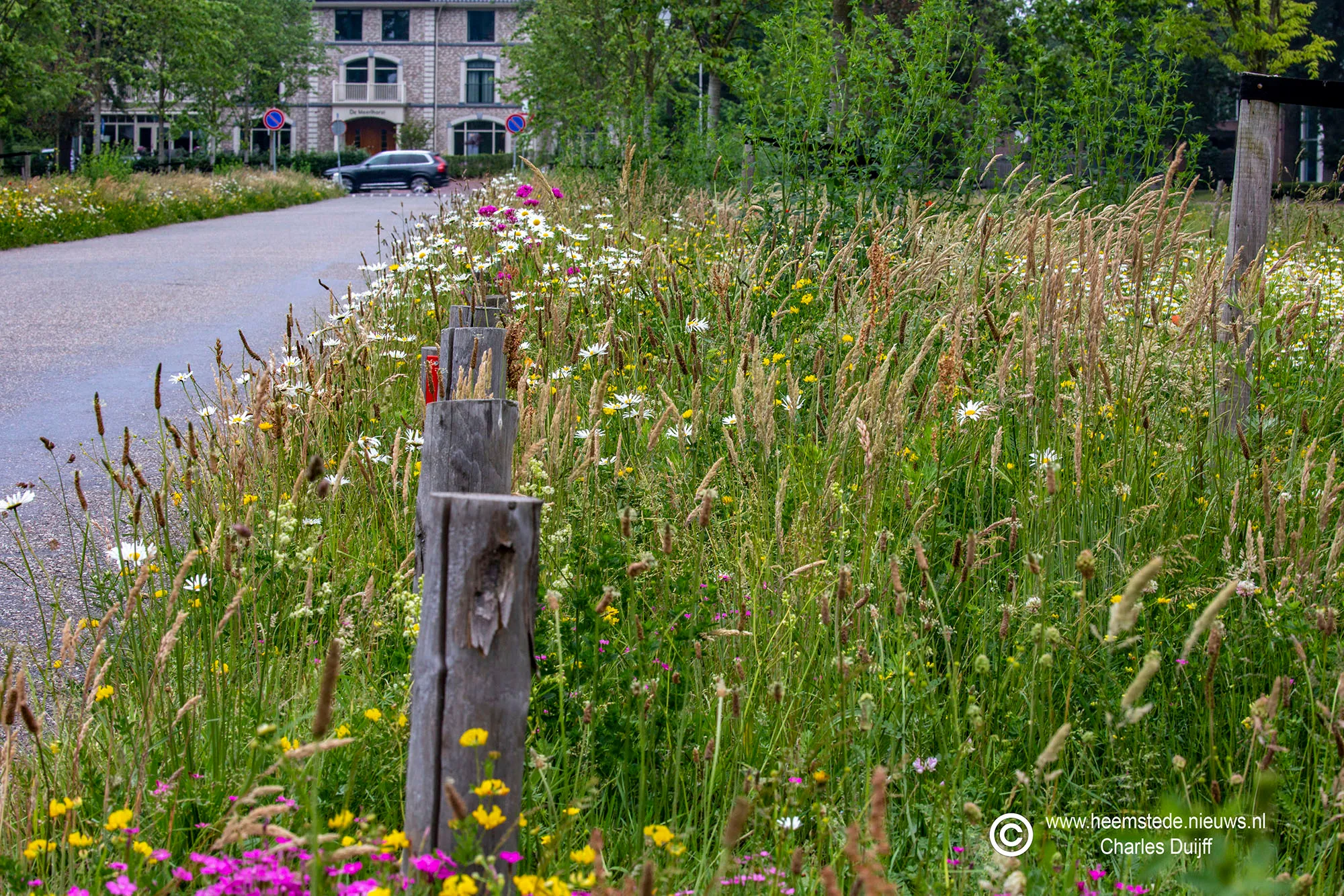vrijheidsdreef actueel