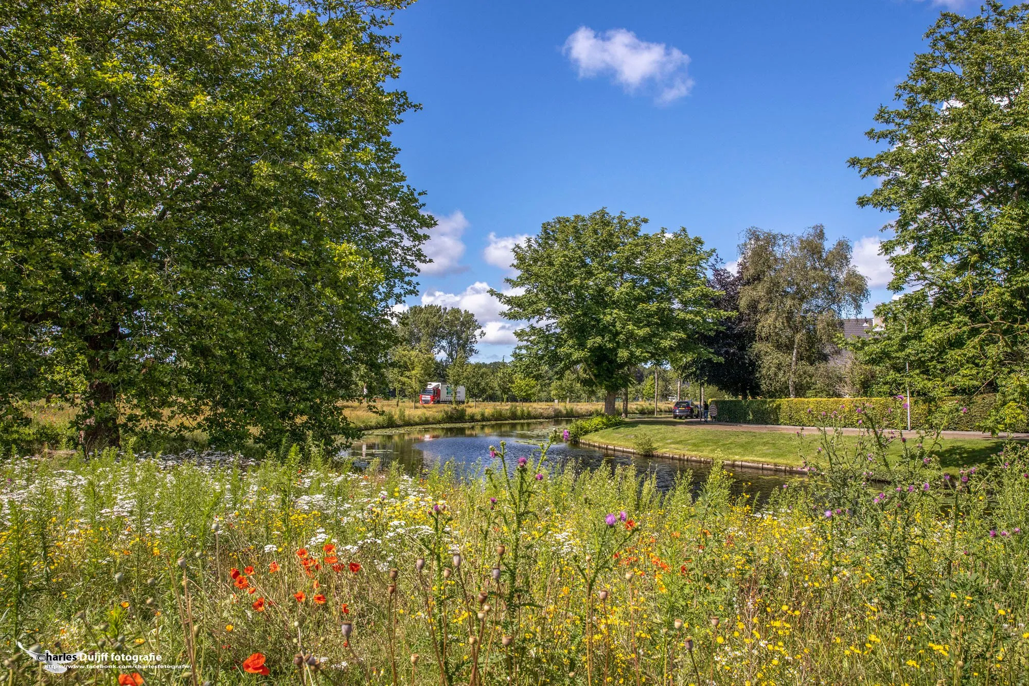 vrijheidsdreef fraai