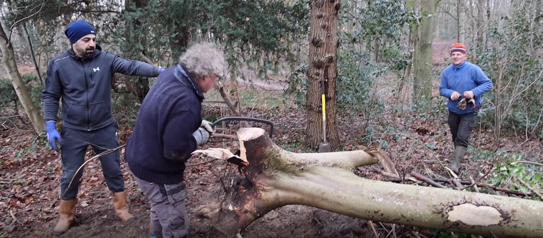 wk3esdoorns en iepen