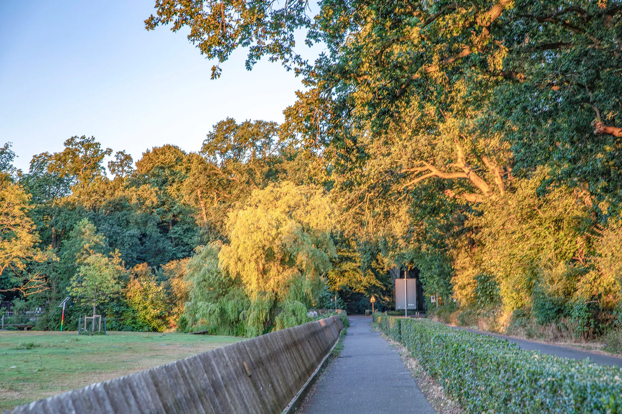 groenendaal ochtendgloren