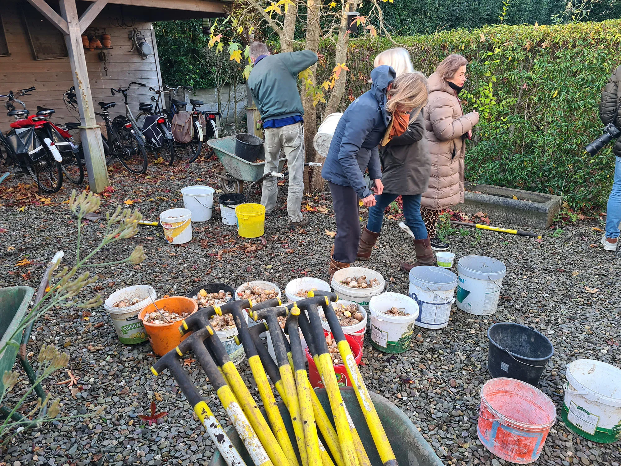 natuurnieuwsheemstede 1 dec bollenplanten