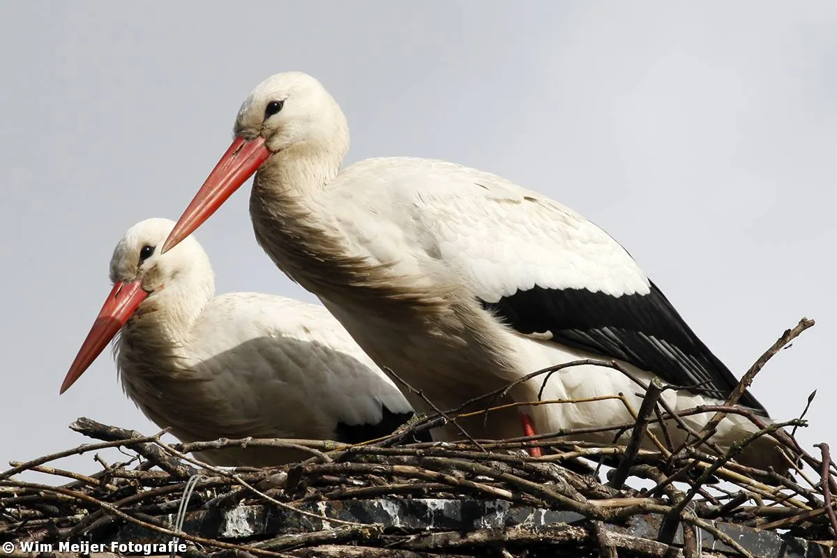 464772196 10228419270492874 636037947669623547 n