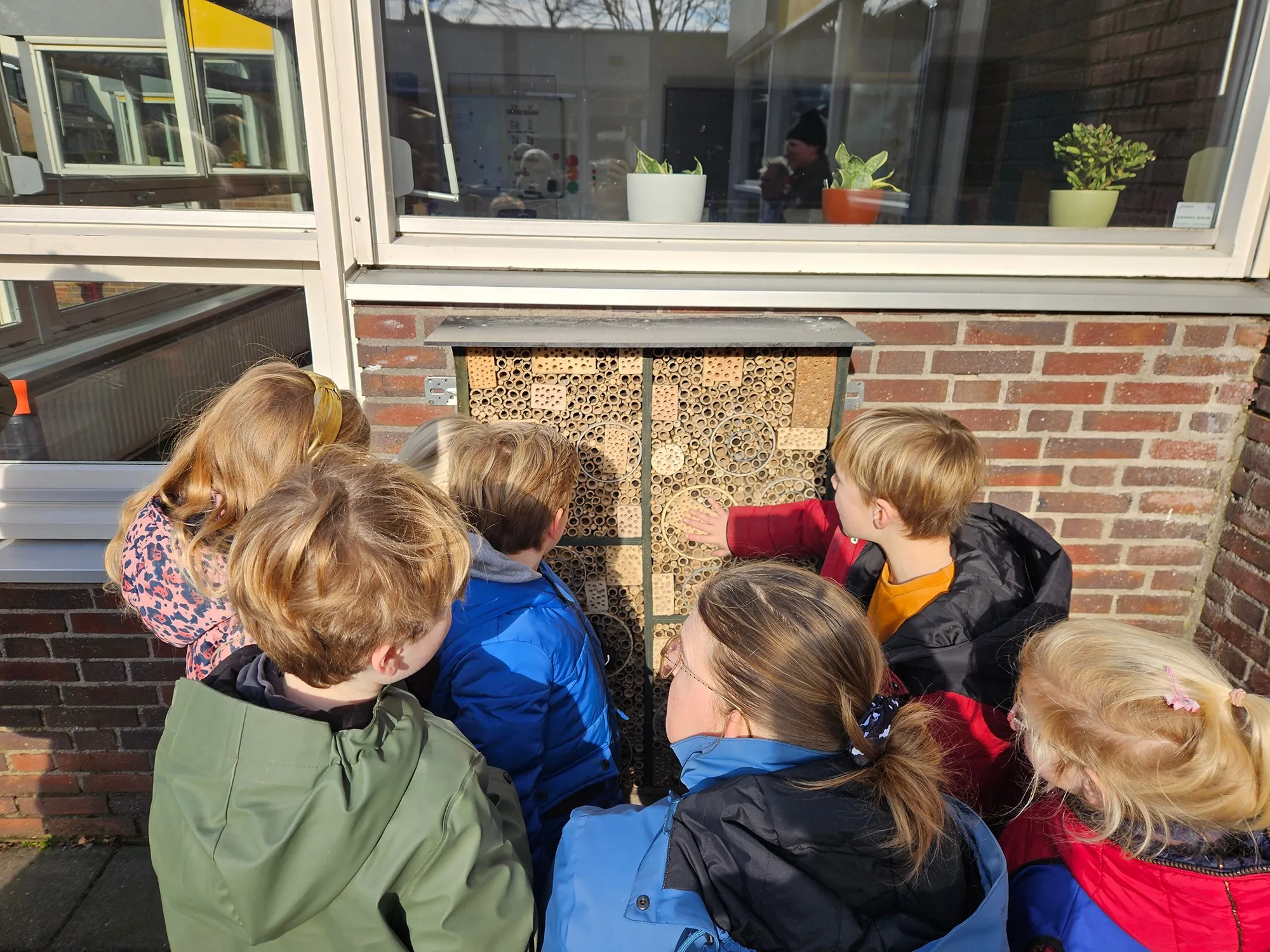 perberichtinsectenhotel mambo bso