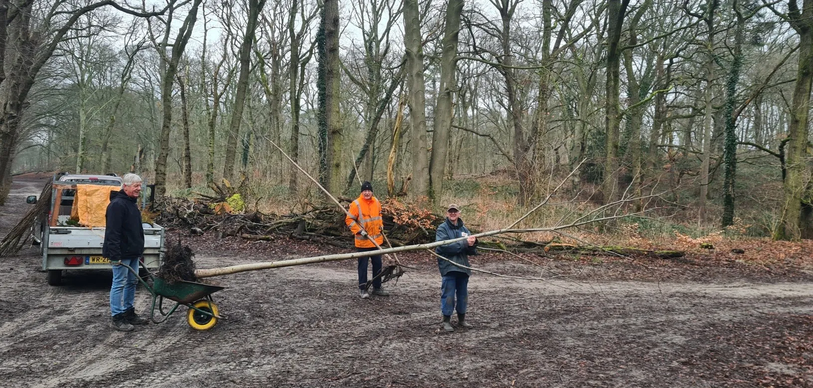 heemstede natruur nieuws15 febr grote linde