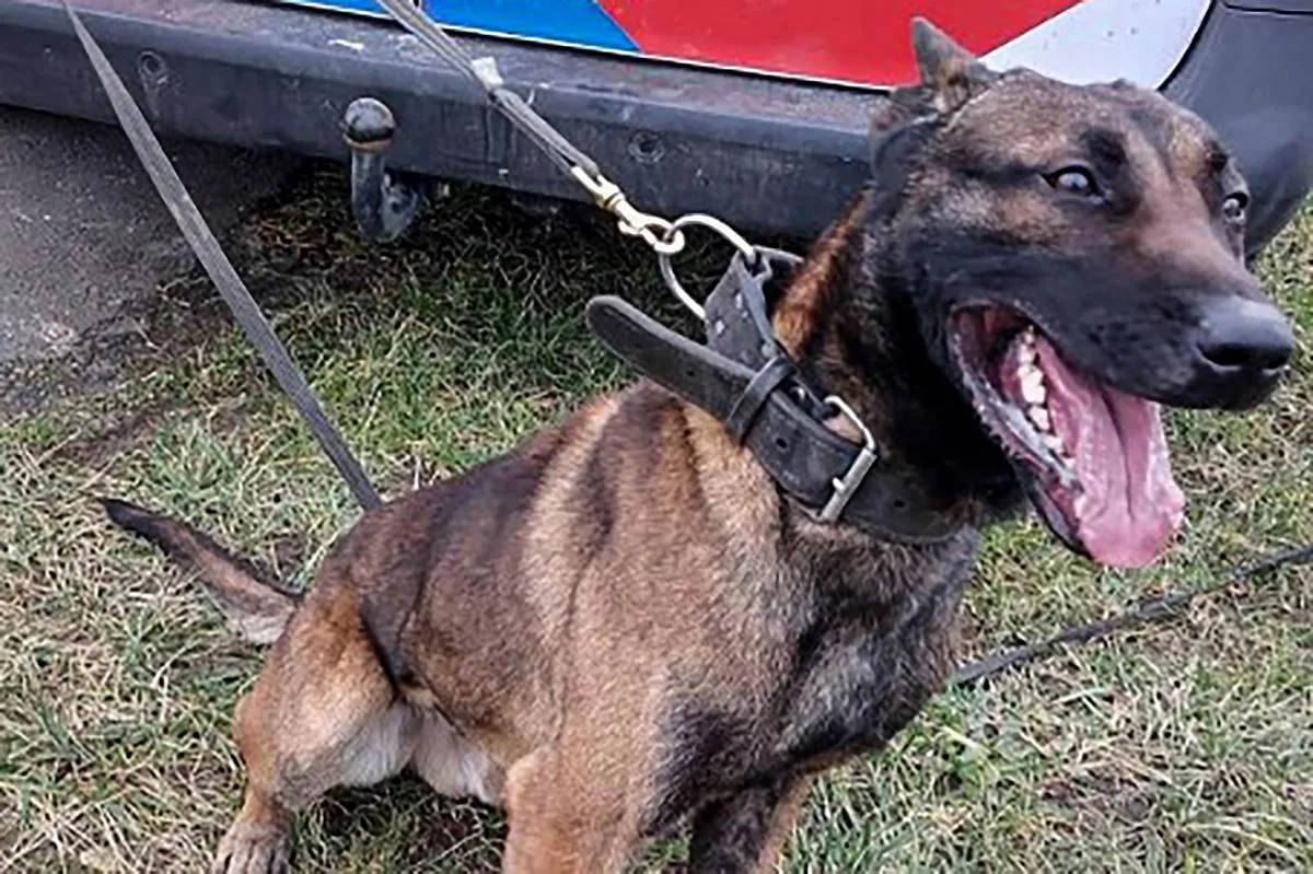 politie2018imageset_genericlandscape (4) kopiëren