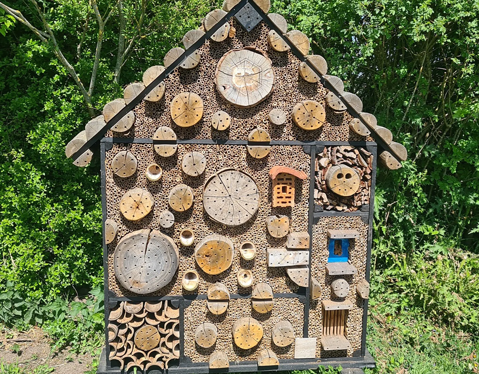 heemstede natuur nieuws 26 april  het druk bezochte insectenhotel op meermond