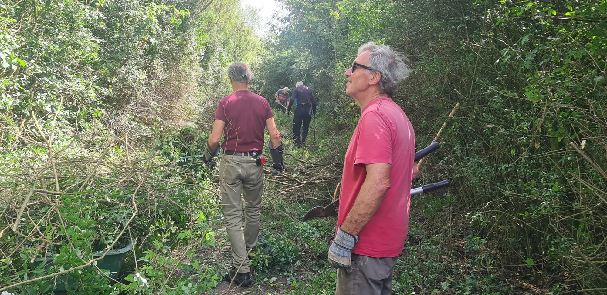 natuur nieuws heemstede 5 juli tunnels worden weer paden