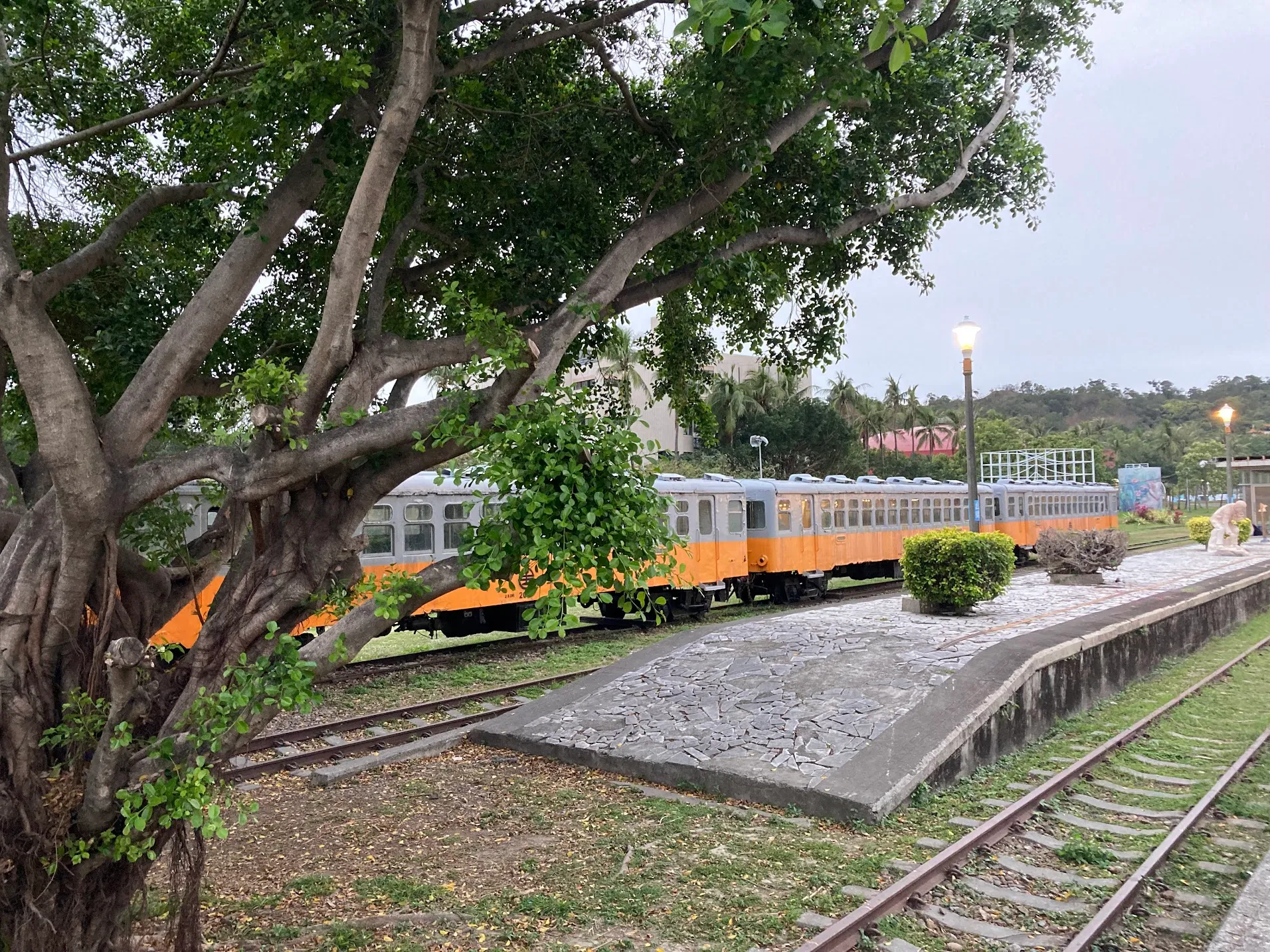 trein img 6770