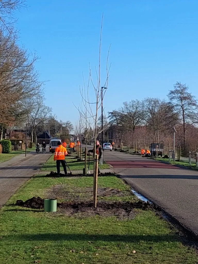 IMG-20260115-WA0000-768x1024