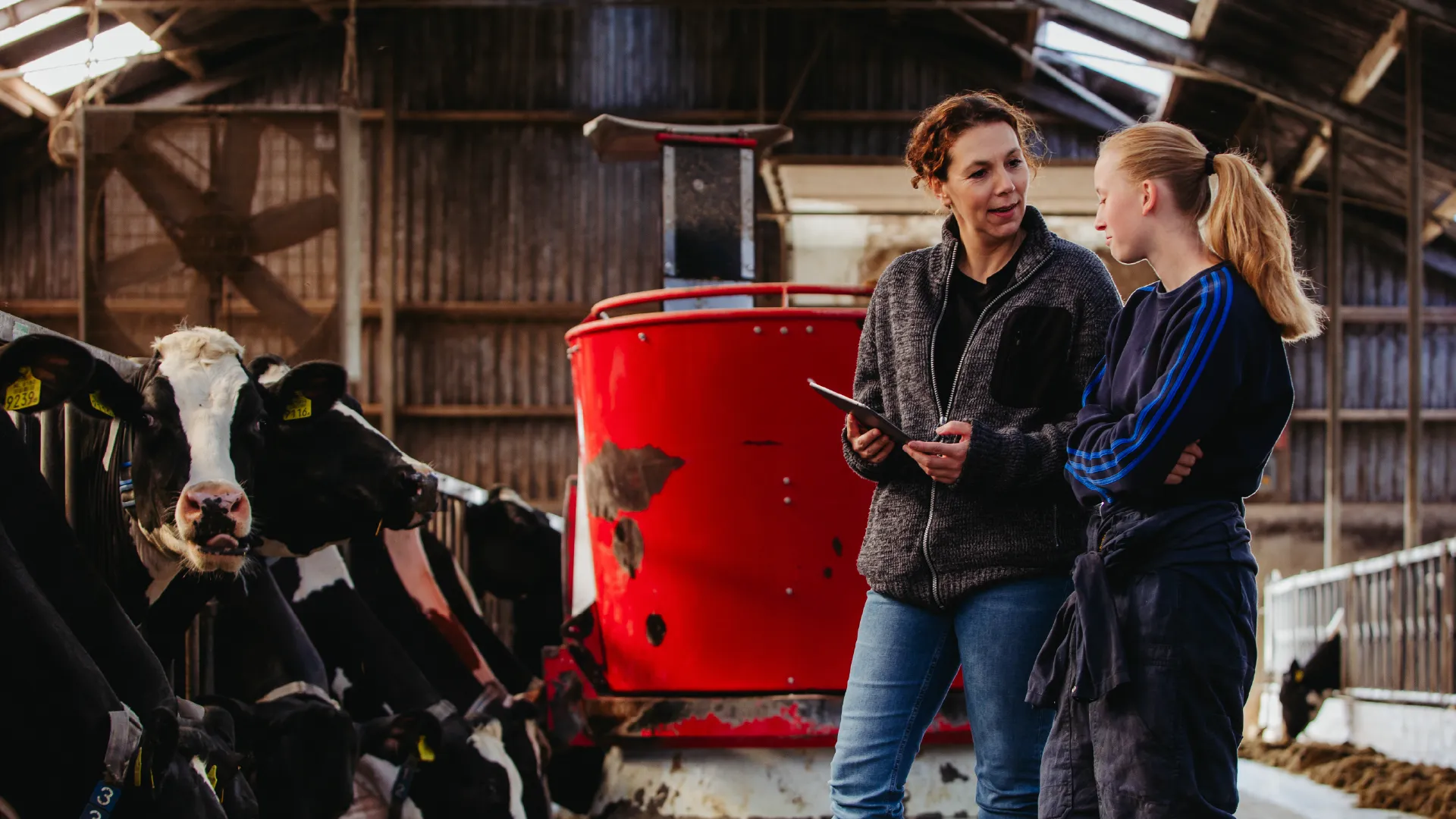 Website 1920x1080 PIL Fryslân