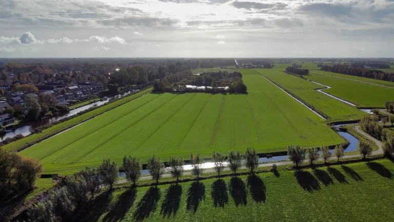 HeerenveenWest_2025.10.23_Heidema_1-768x432