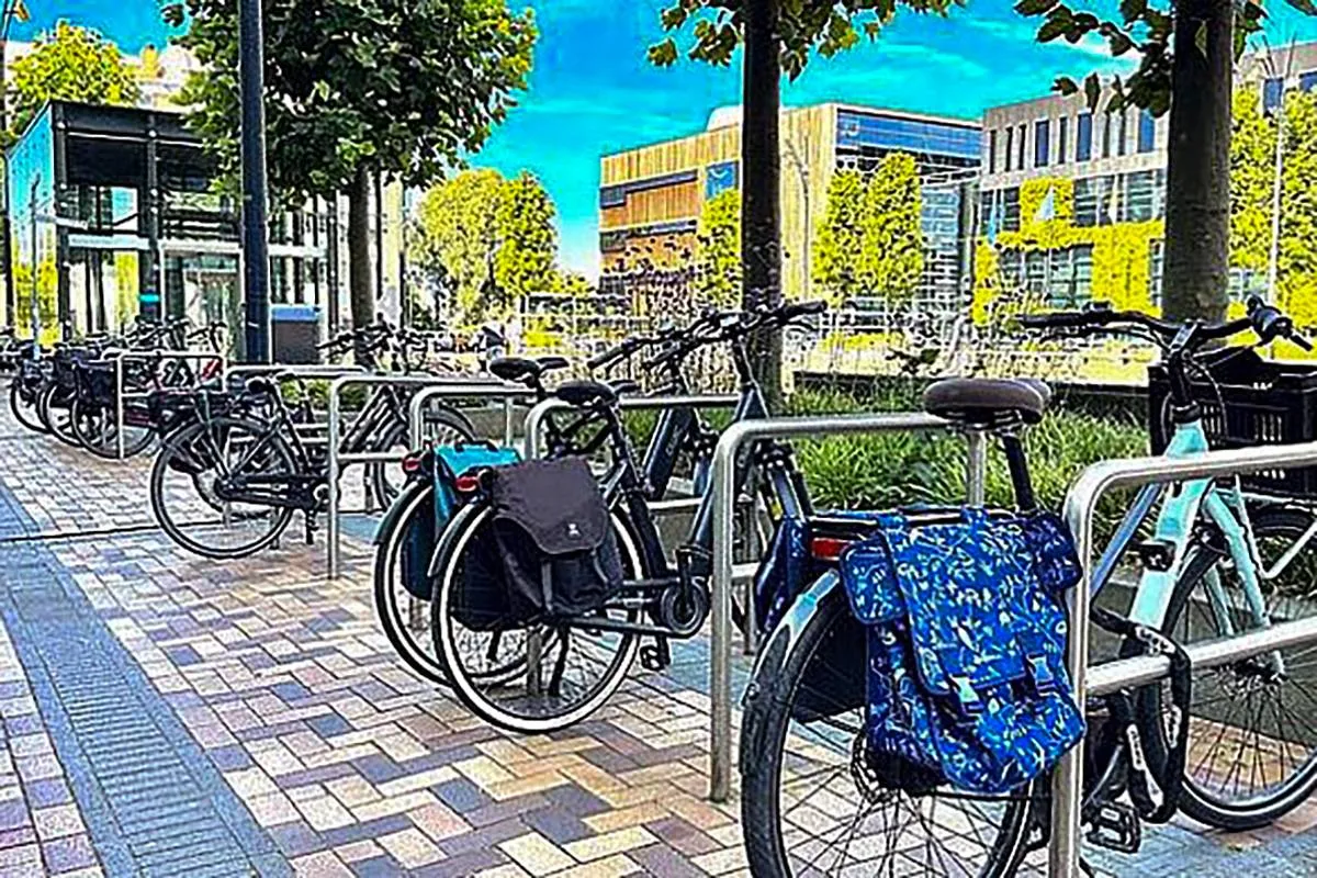 csm_fietsen_bij_Middenwaard_f11765635f kopie