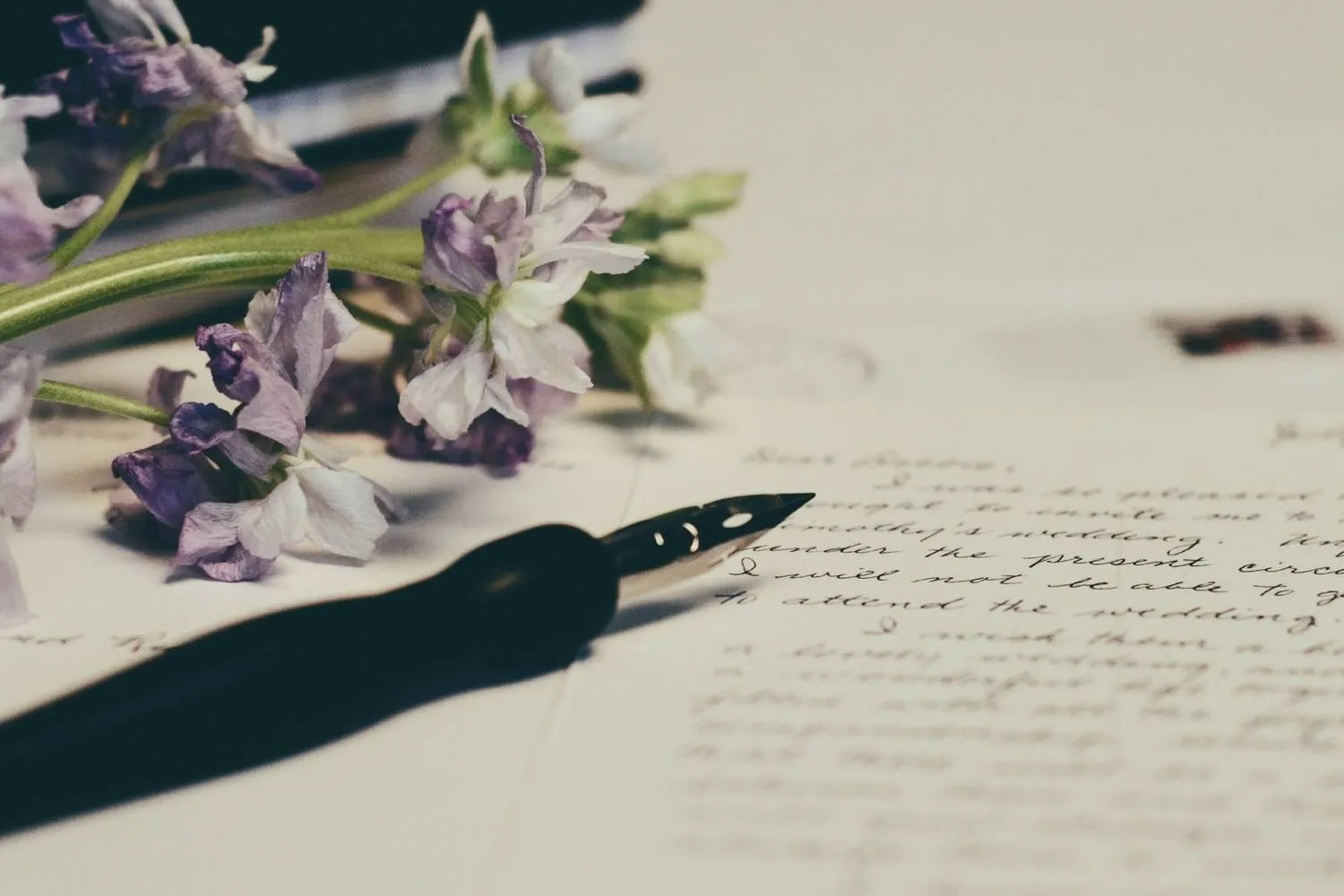 debby-hudson-DR31squbFoA-unsplash