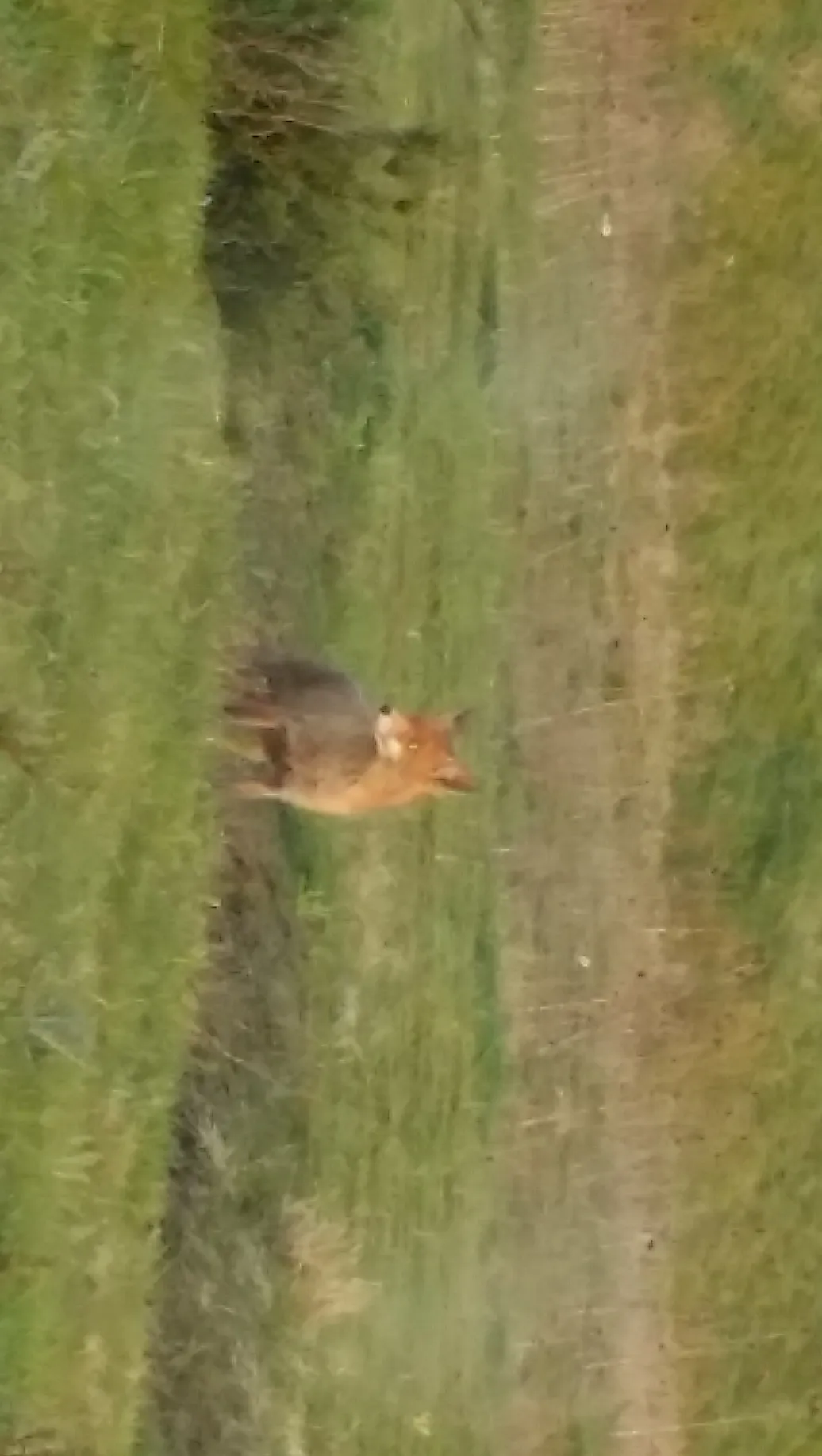 2015 04 17 200733 kopie 1 e1429299776712