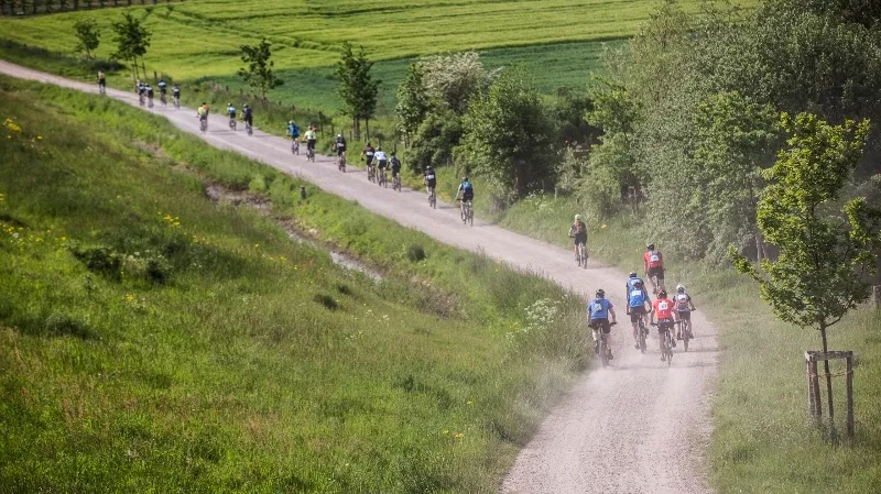 2016 mtb 2 800x533