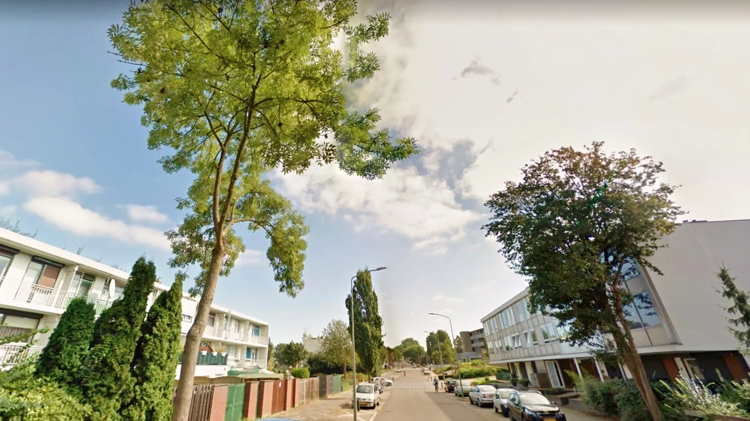 anjelierstraat