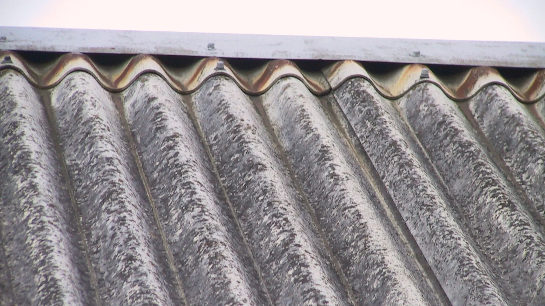 asbest dakplaten wikimedia e1476124210716