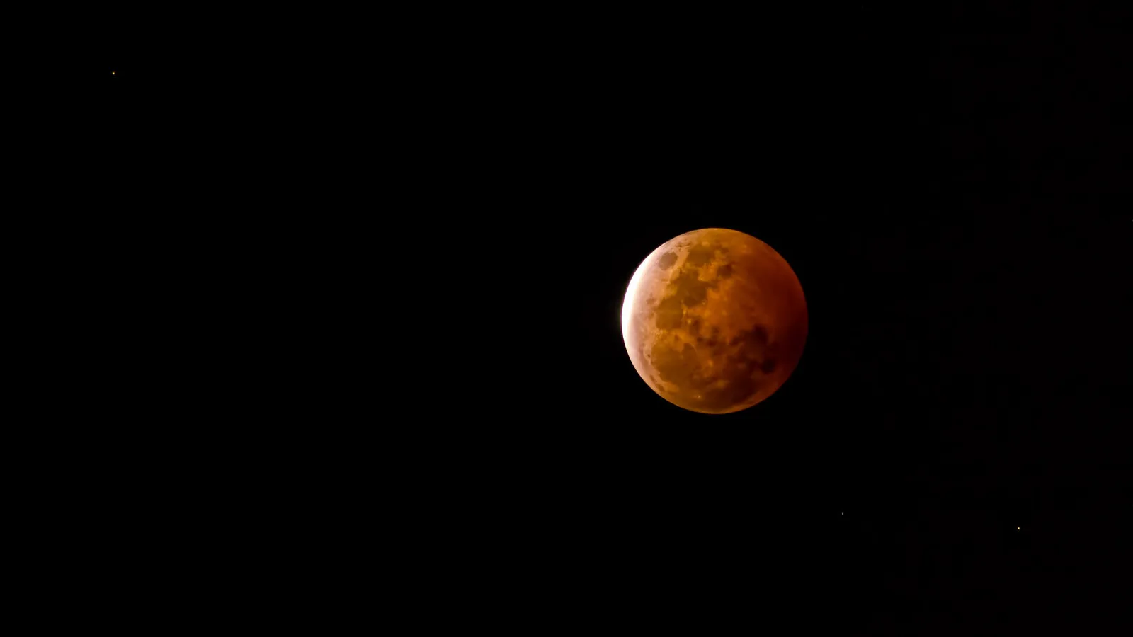 bloedmaan e1443378952421