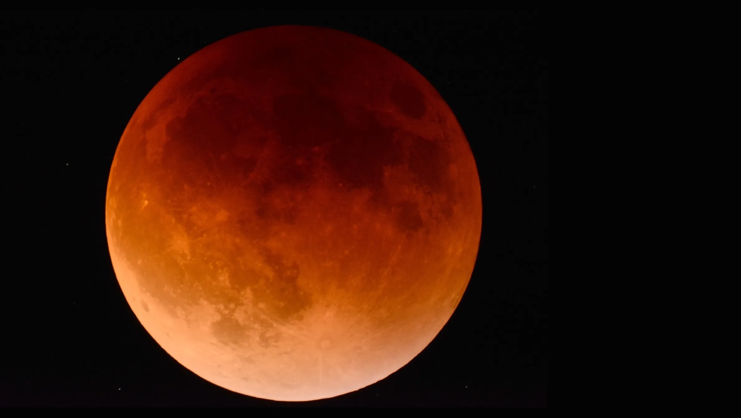 bloedmaan pixabay