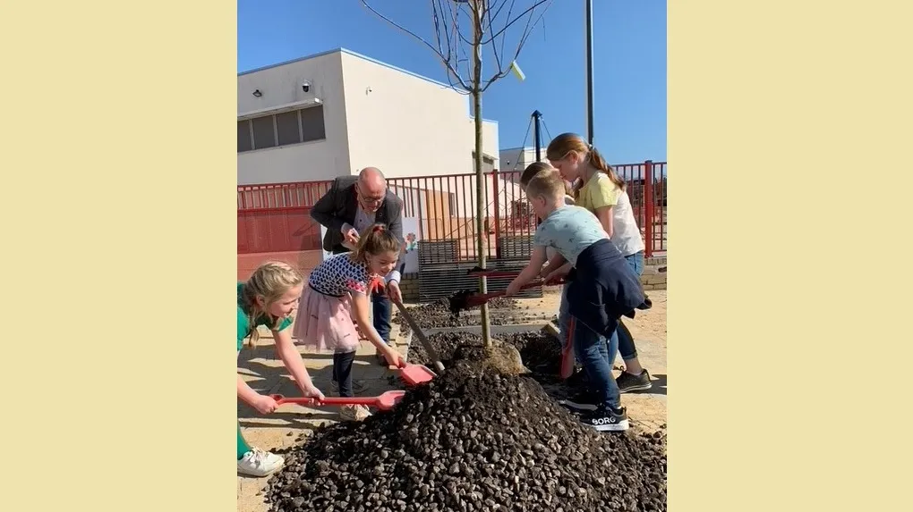 boom planten 1000 bomen plan 3