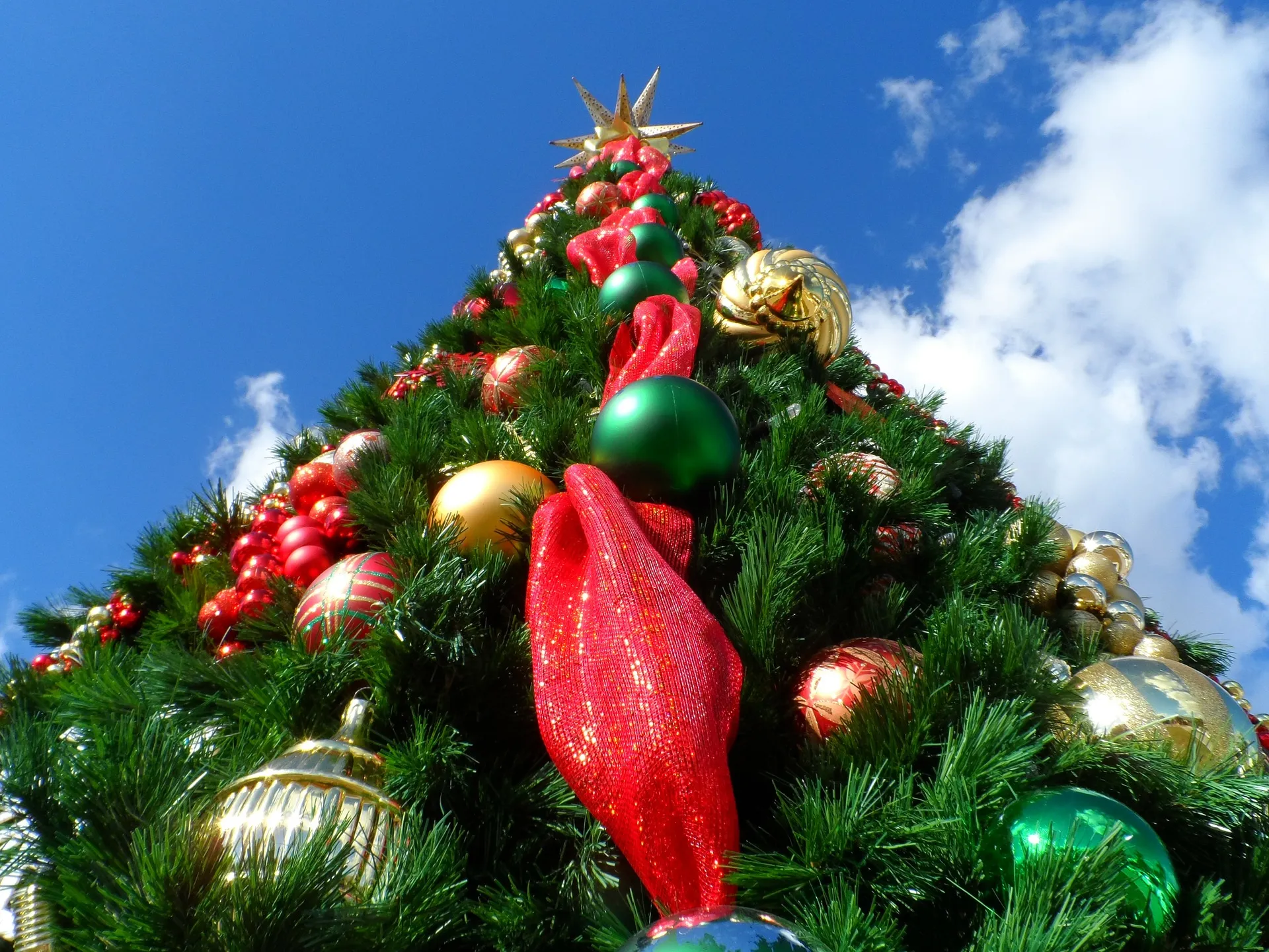 christmas tree cco public domain