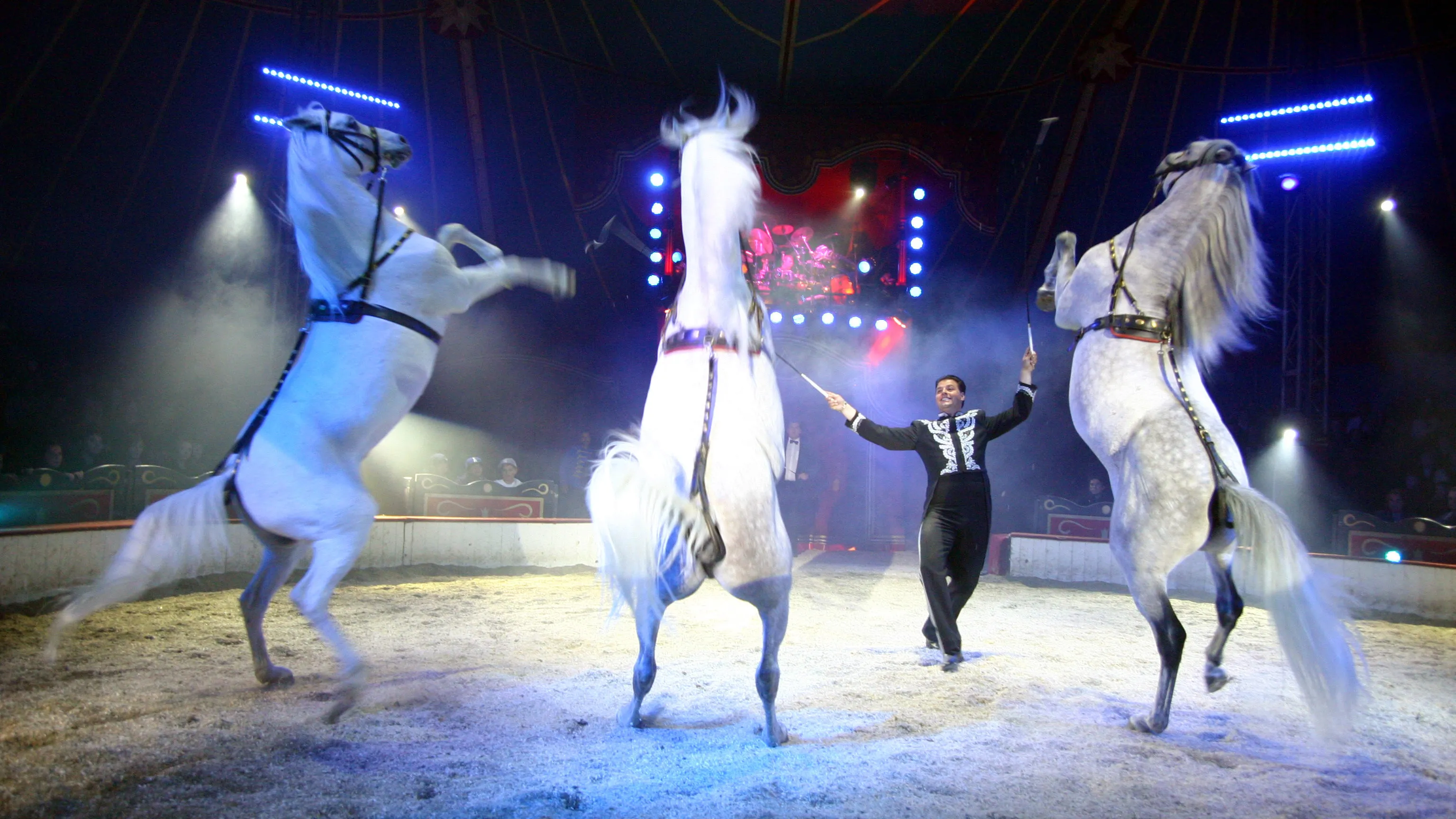 circus louis knie 8 e1477477818427