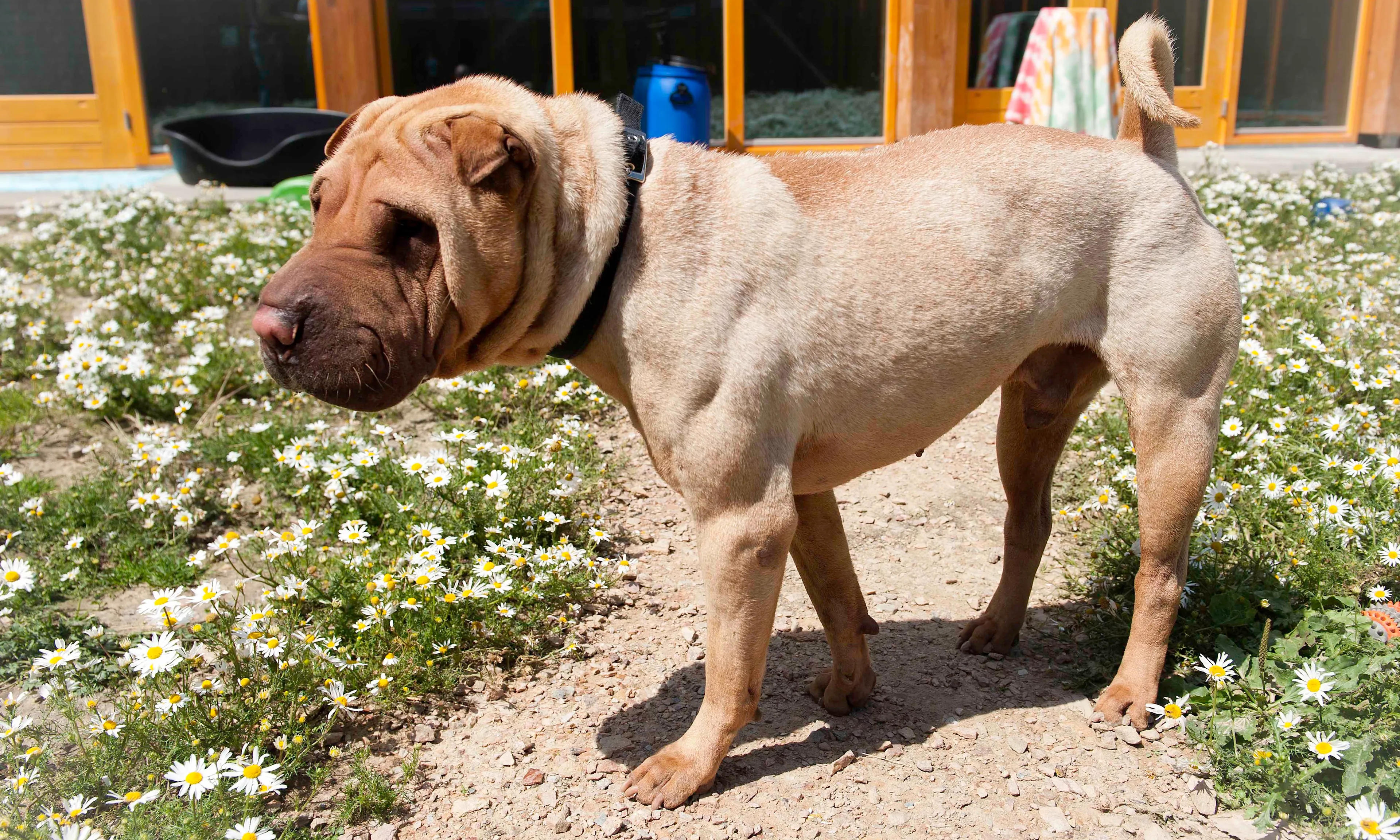 dsc6233 e1426245348517