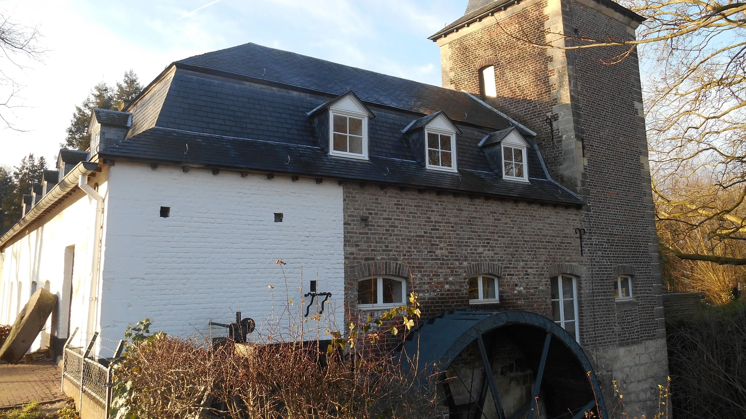 dscn0960 e1455572445175