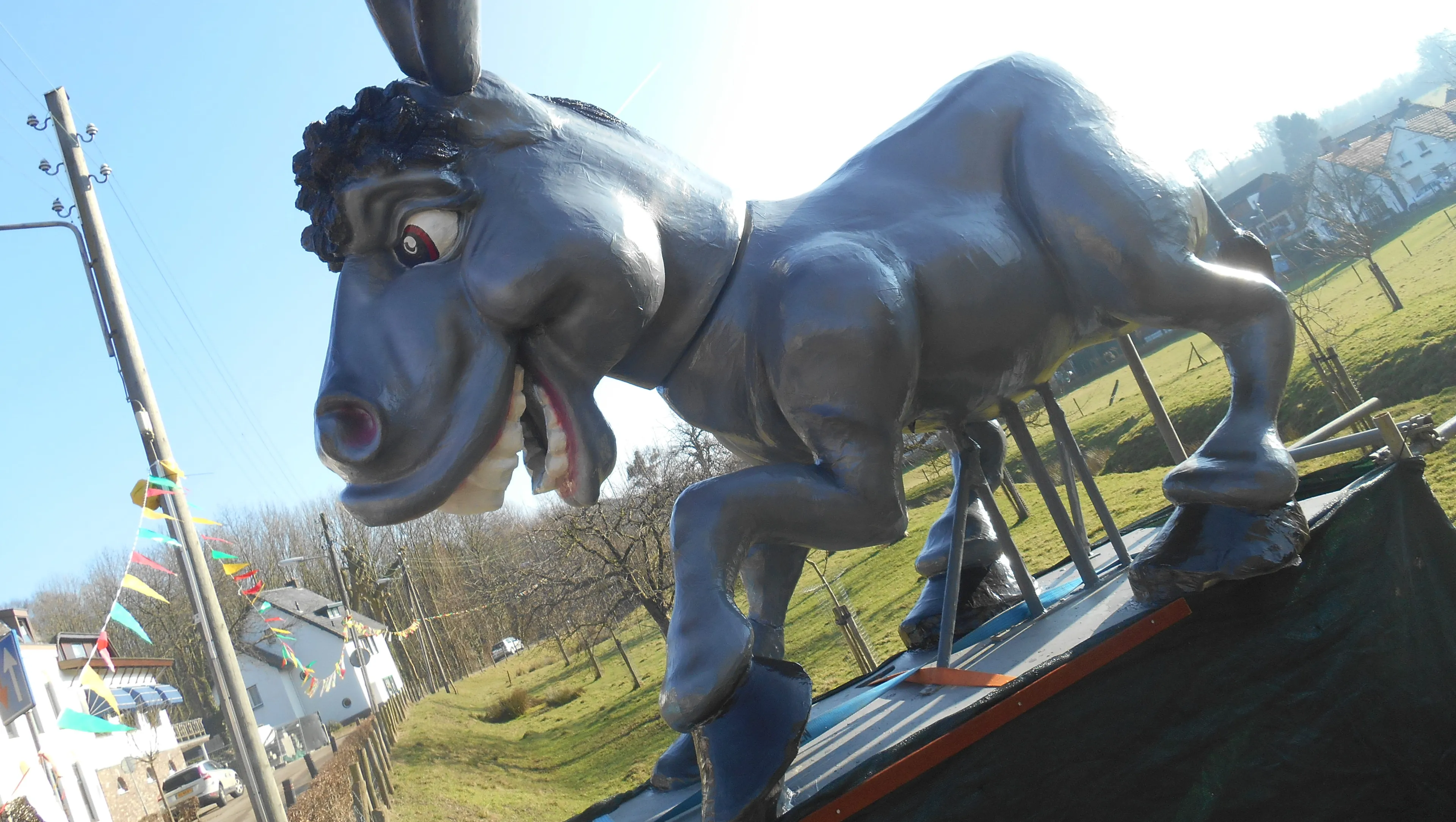 dscn1131 e1467409111445