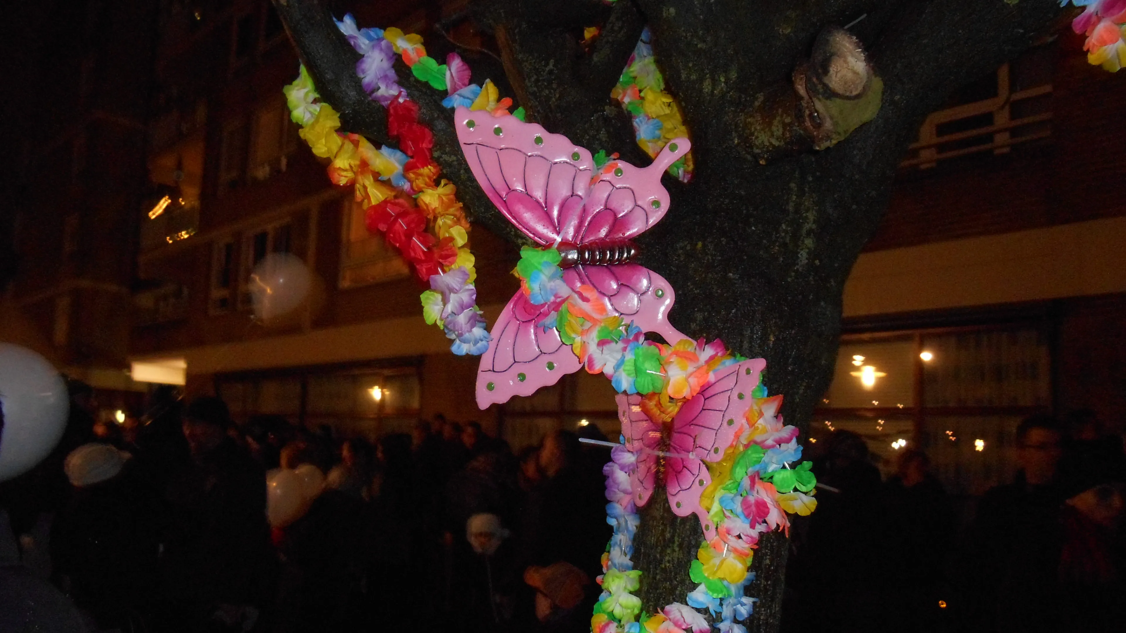 dscn1377 e1467743357202
