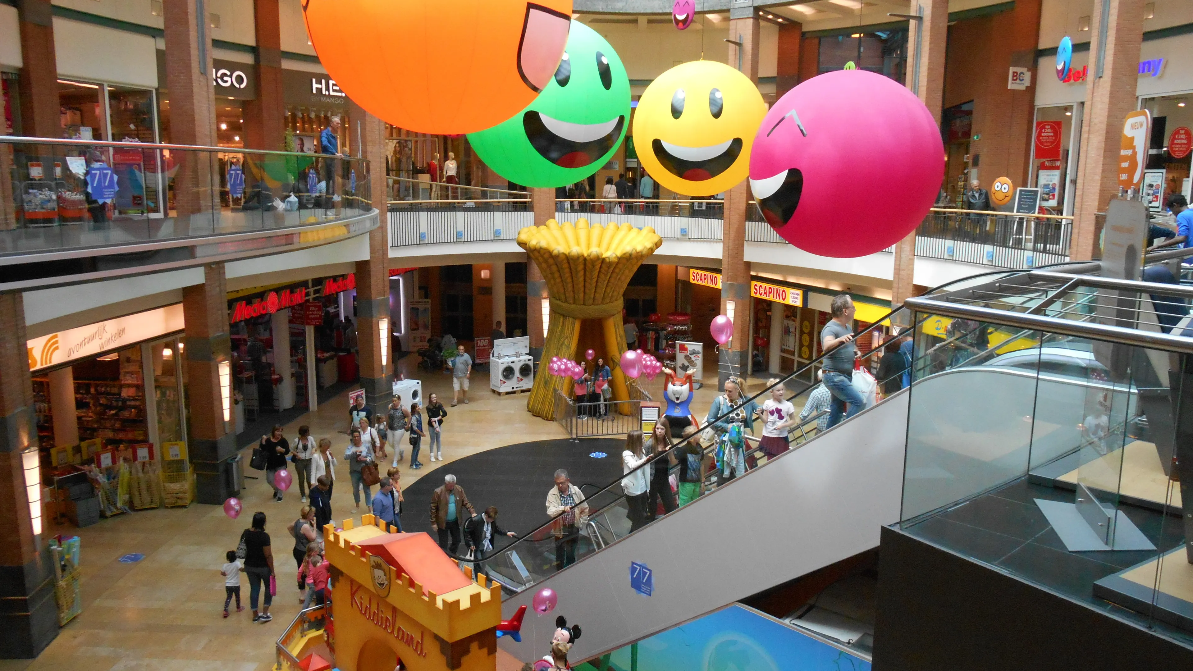 dscn1748 e1445357747345