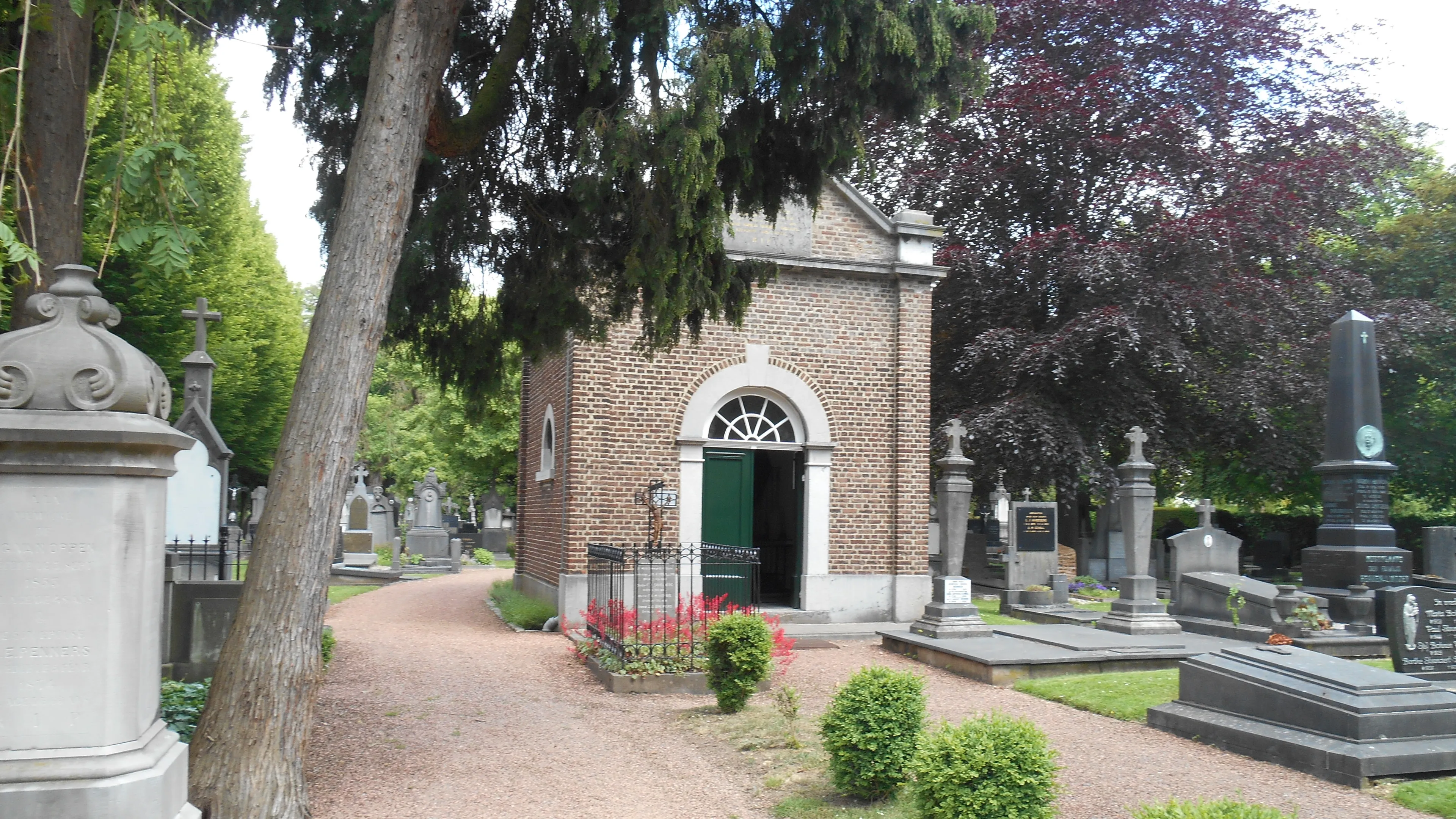 dscn19111 e1432991759501