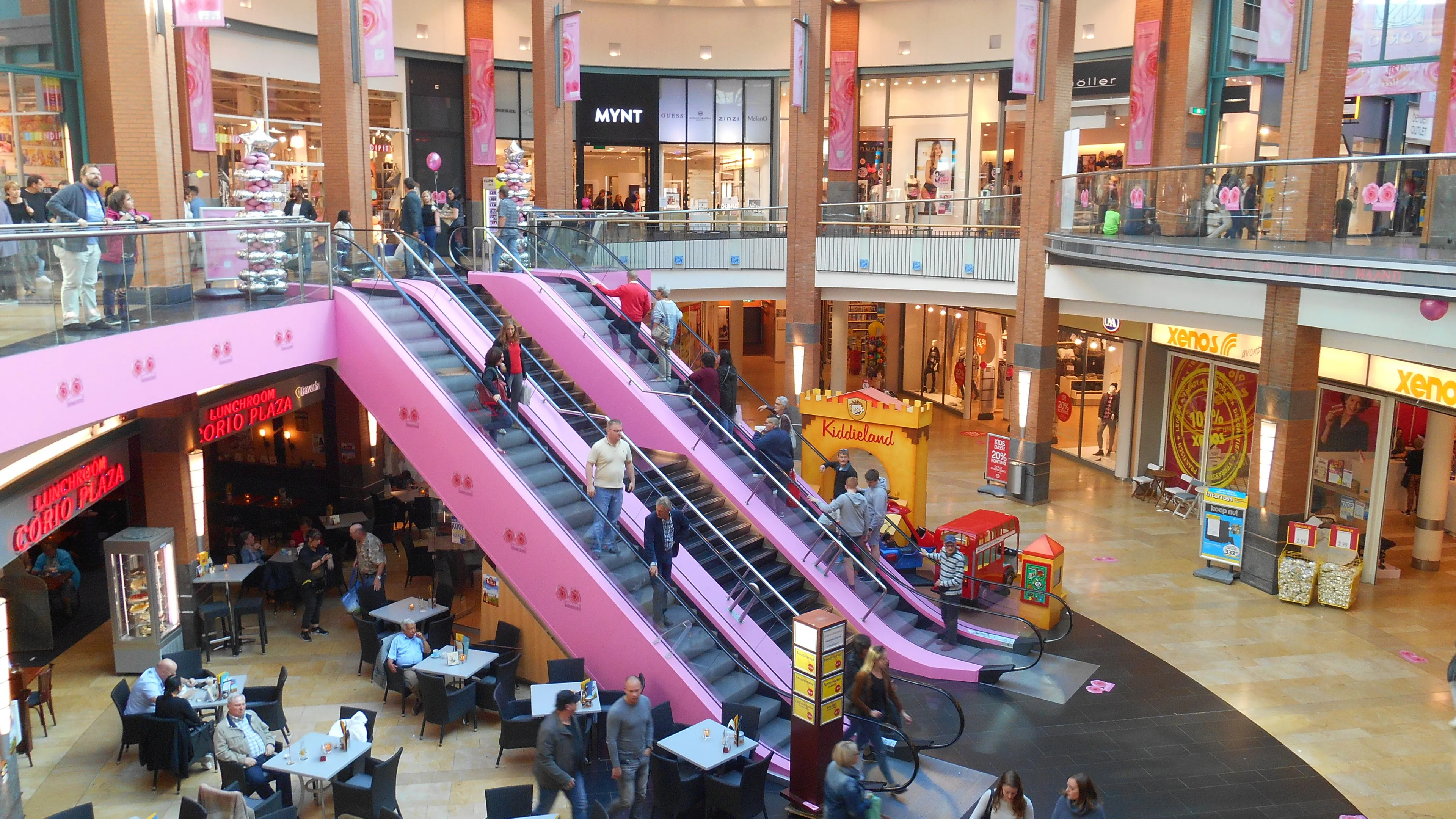 dscn4545 e1475958636173