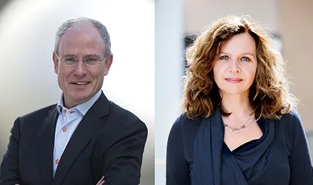 edith schippers dsm