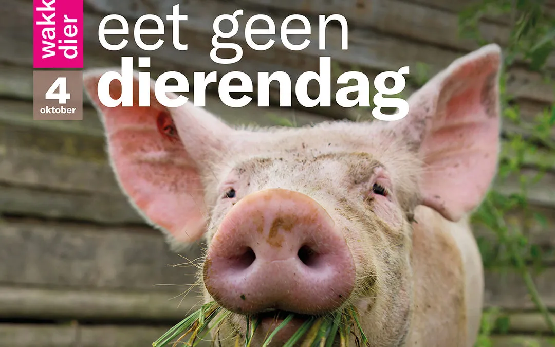 eet geen dierendag persbericht 1080x10801 e1538589045291