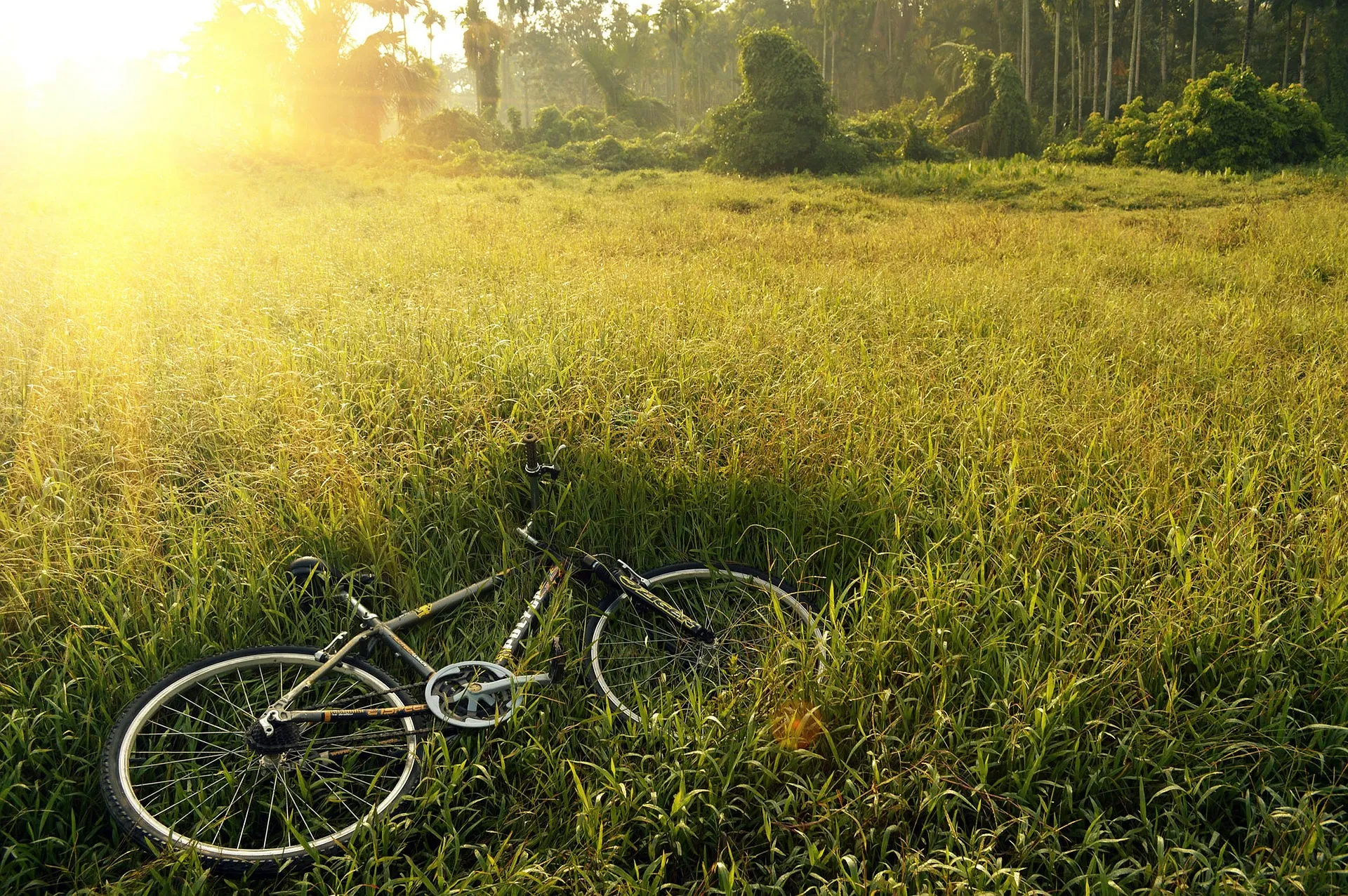 fiets saiful mulia via pixabaycom