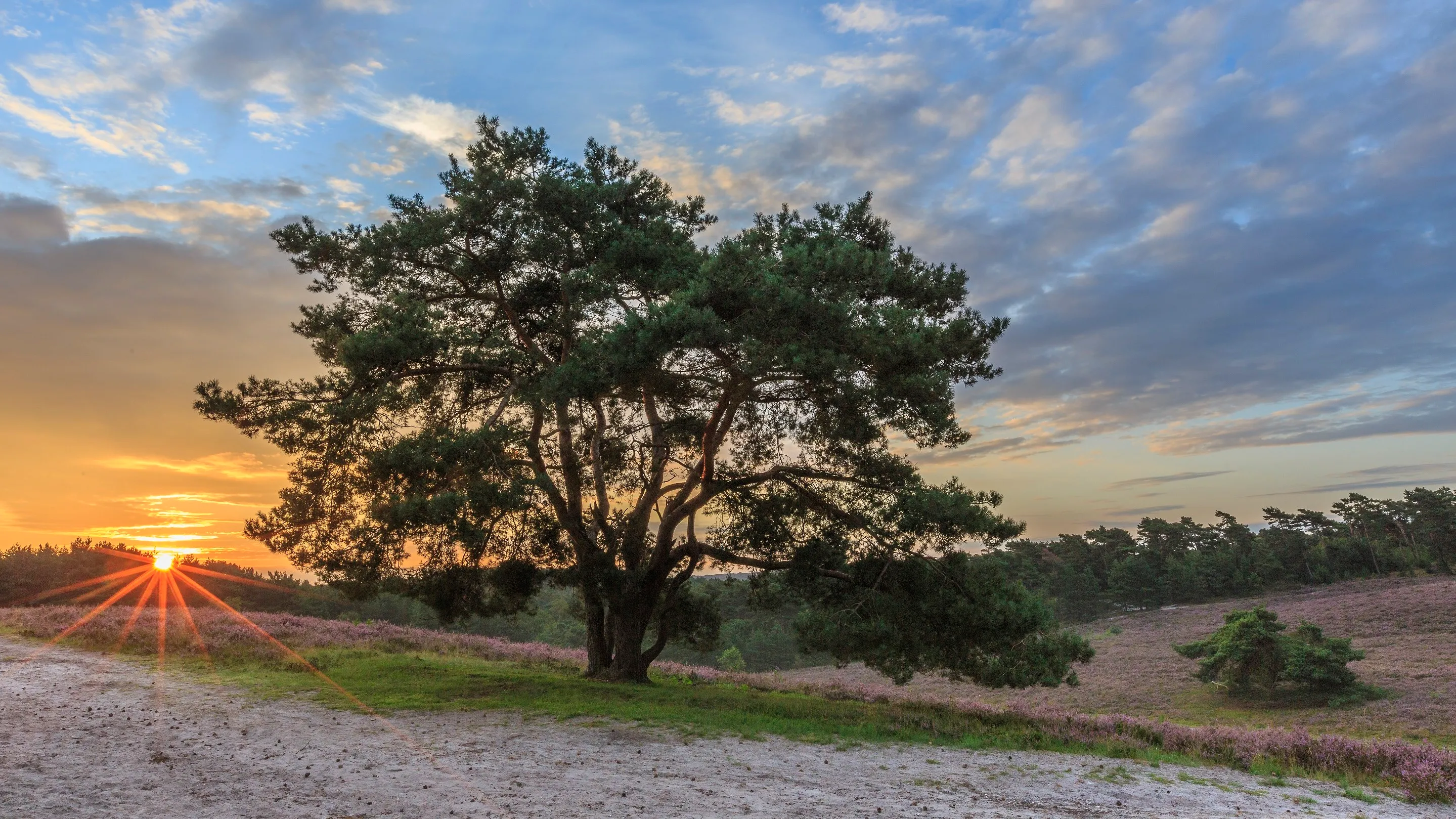 foto zonsopkomst brunssummerheide natuurmonumenten e1429380342445