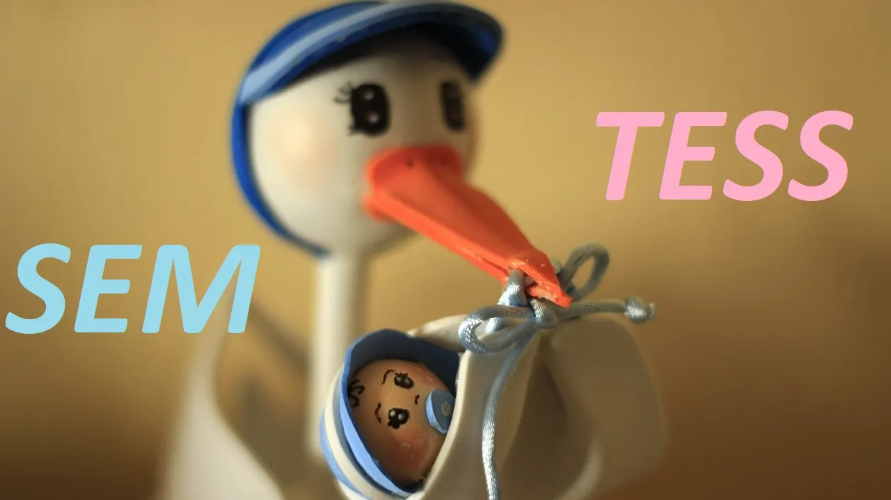 geboorte ooievaar sem tess