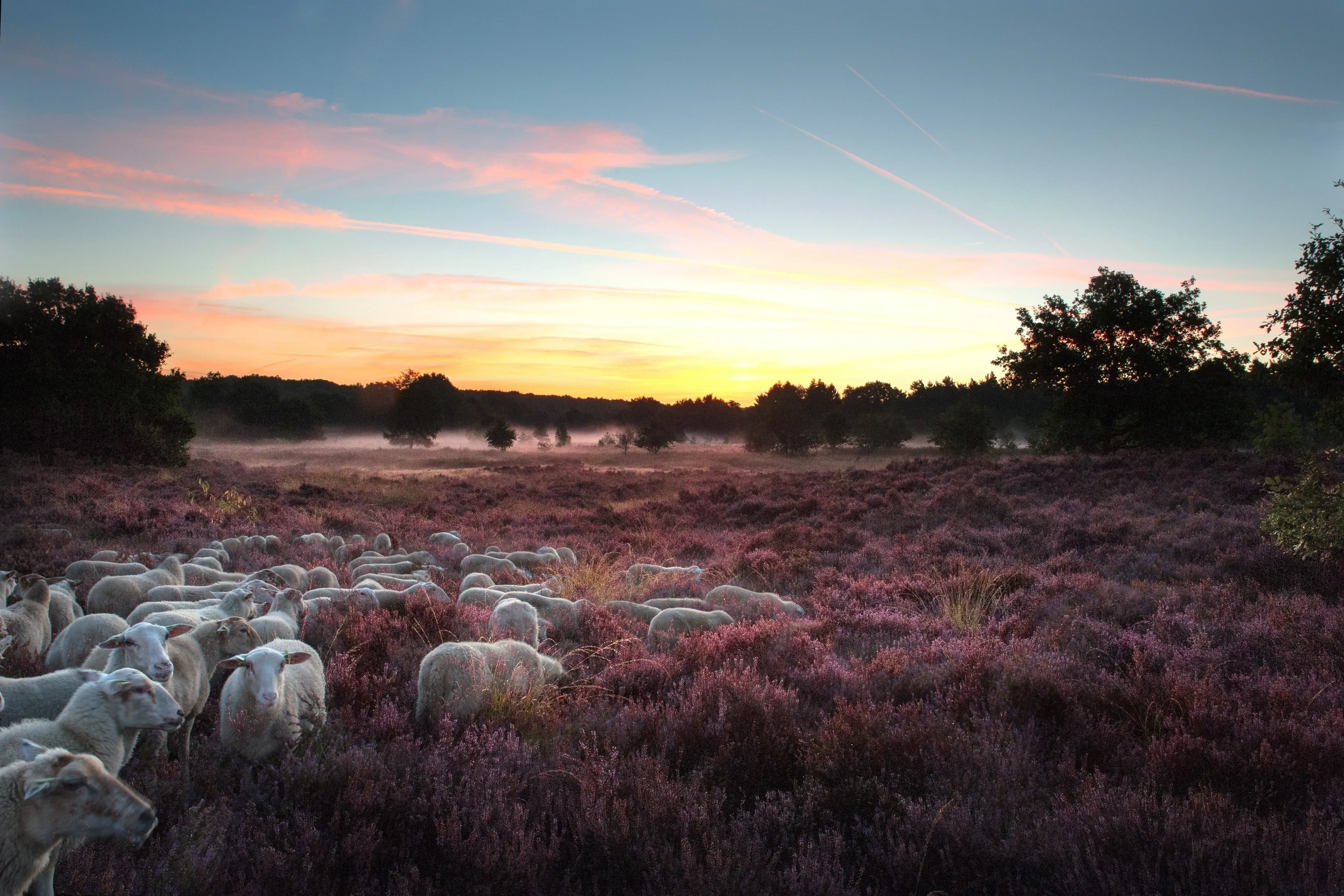 grensparklimburg anki riteco