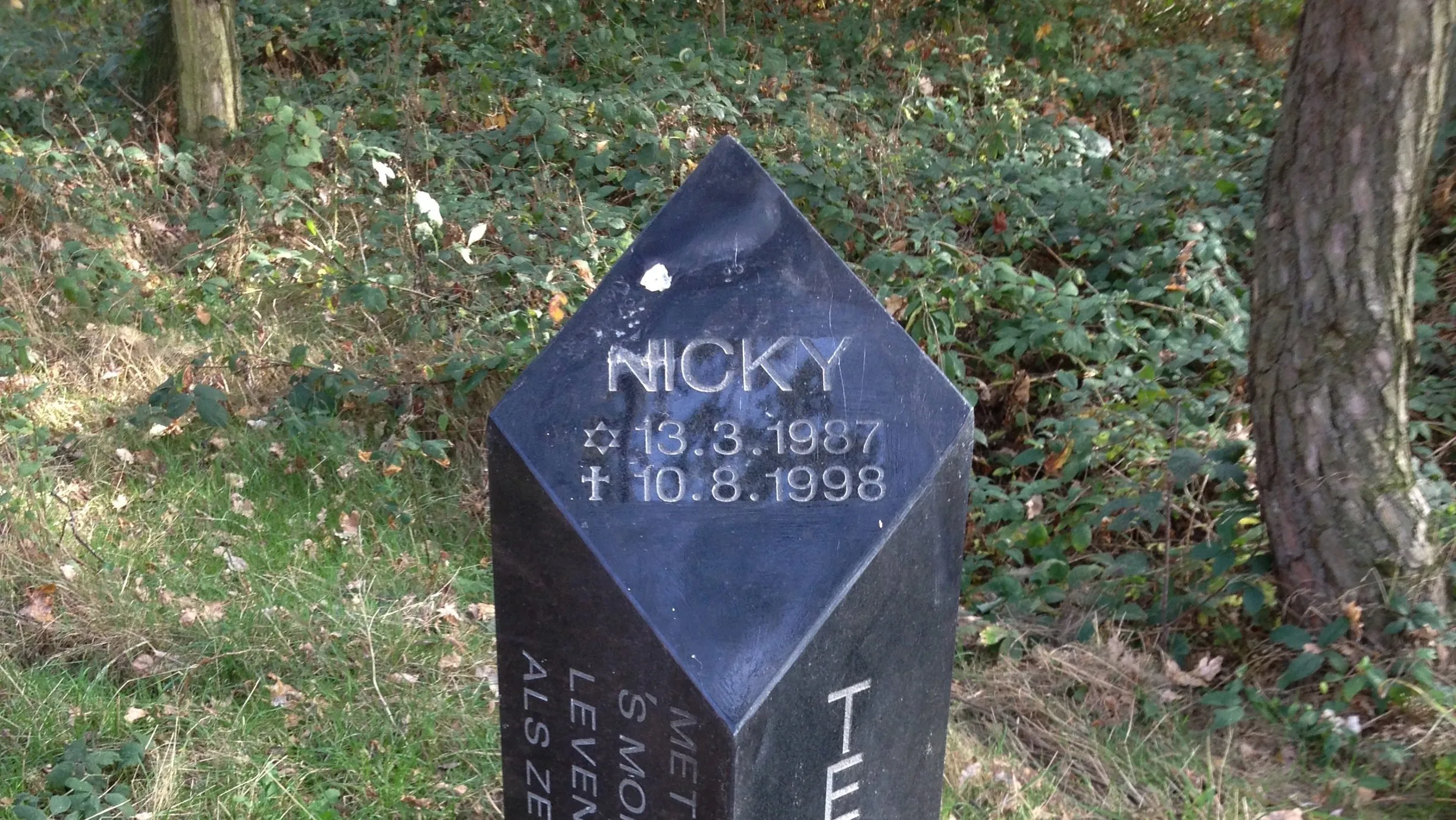 herdenkingsmonument nicky verstappen e1495630703585