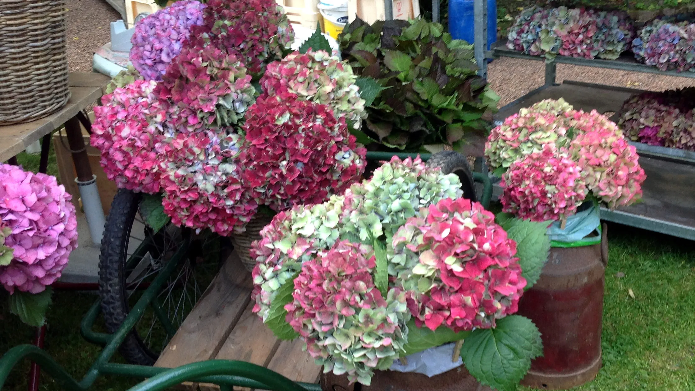 herfstfair e1474571258643