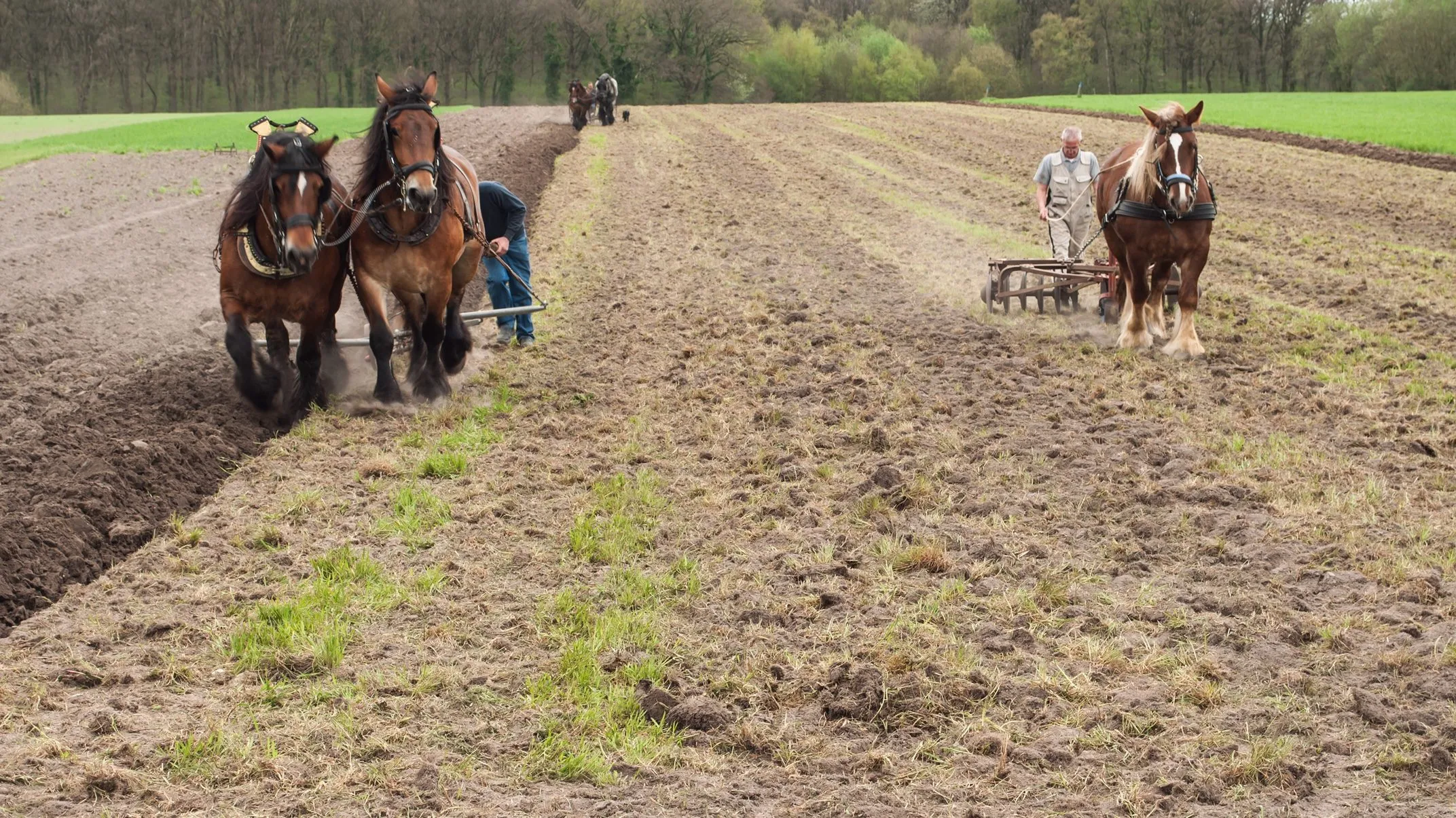 historische landbouwdag 2 e1469801870715
