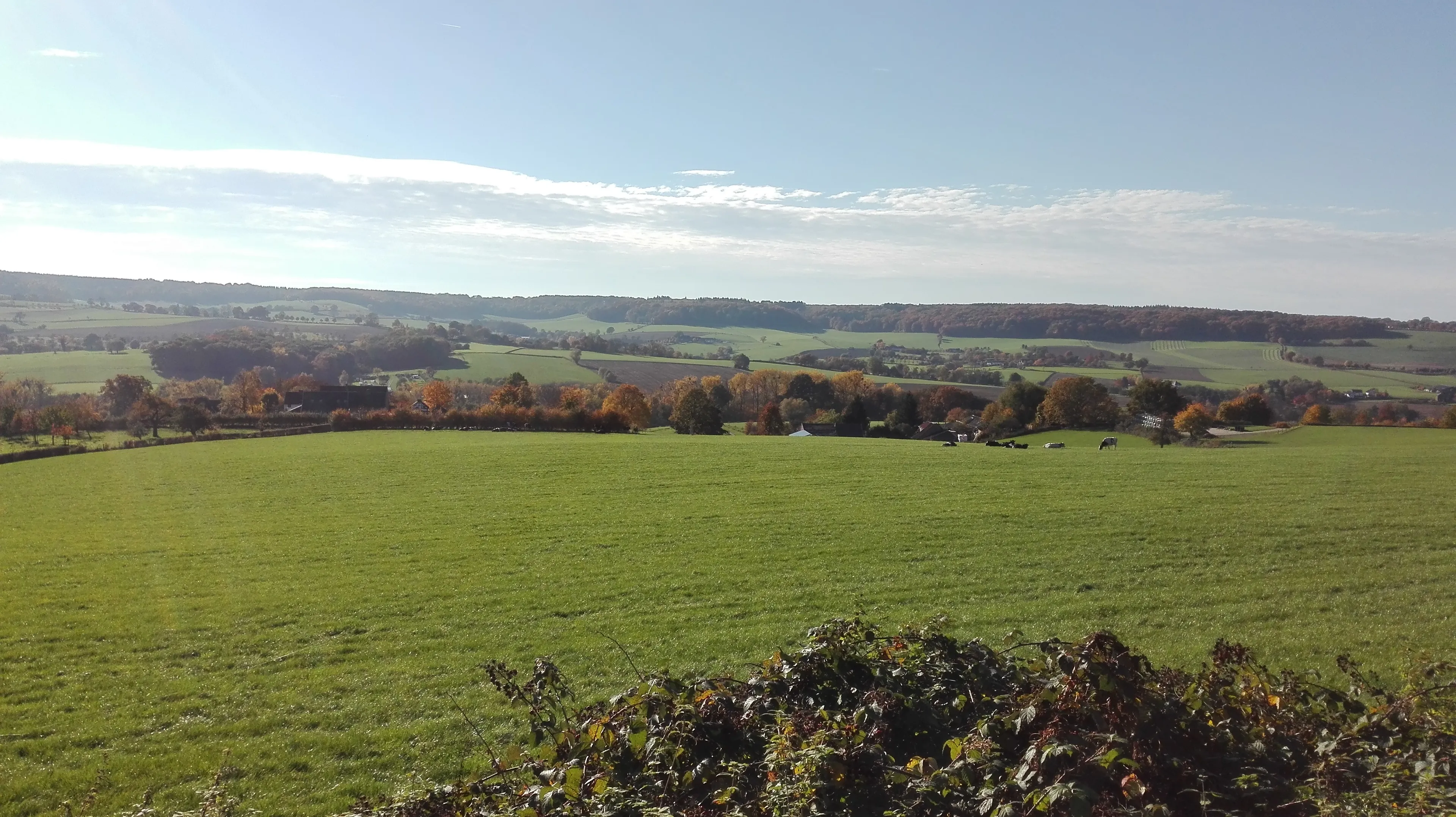 img 20151027 142725