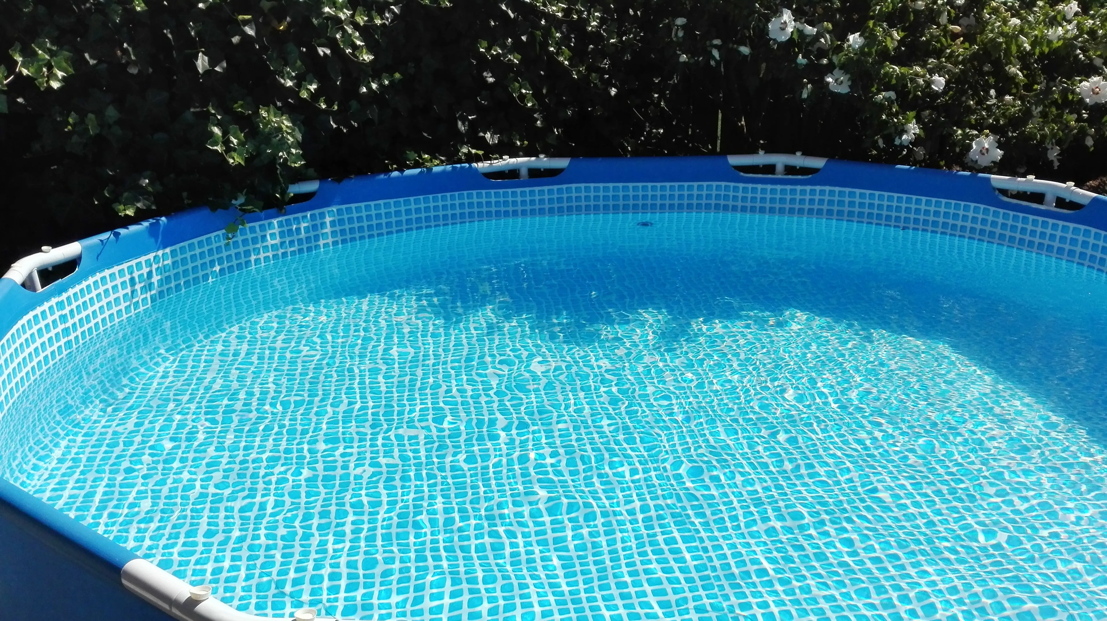 img 20160823 125458 e1471950130199