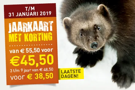 img3 nieuw nl